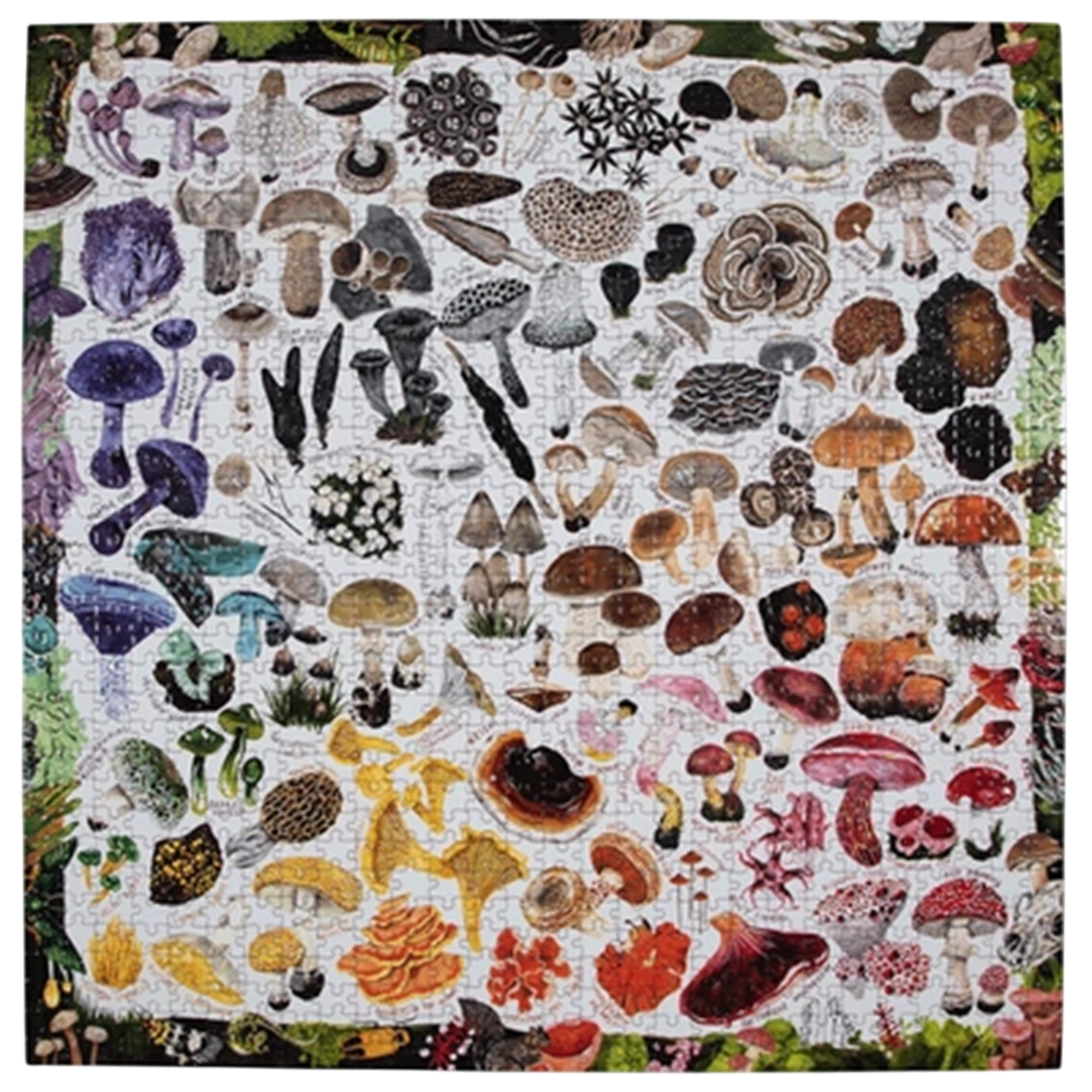 Puzzle Mushroom Rainbow