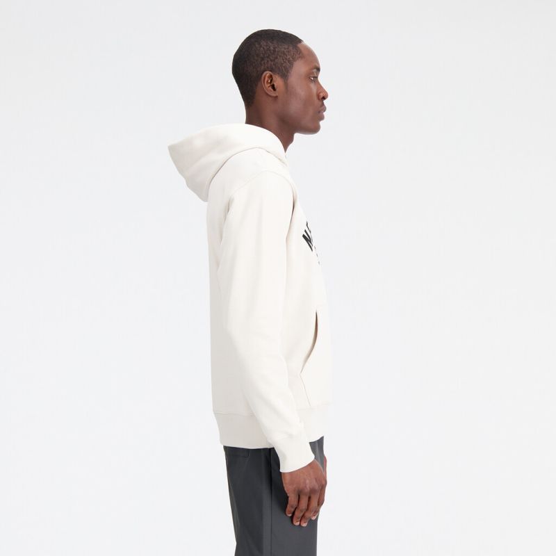 Pullover Essentials Varsity Fleece Hoodie moonbeam