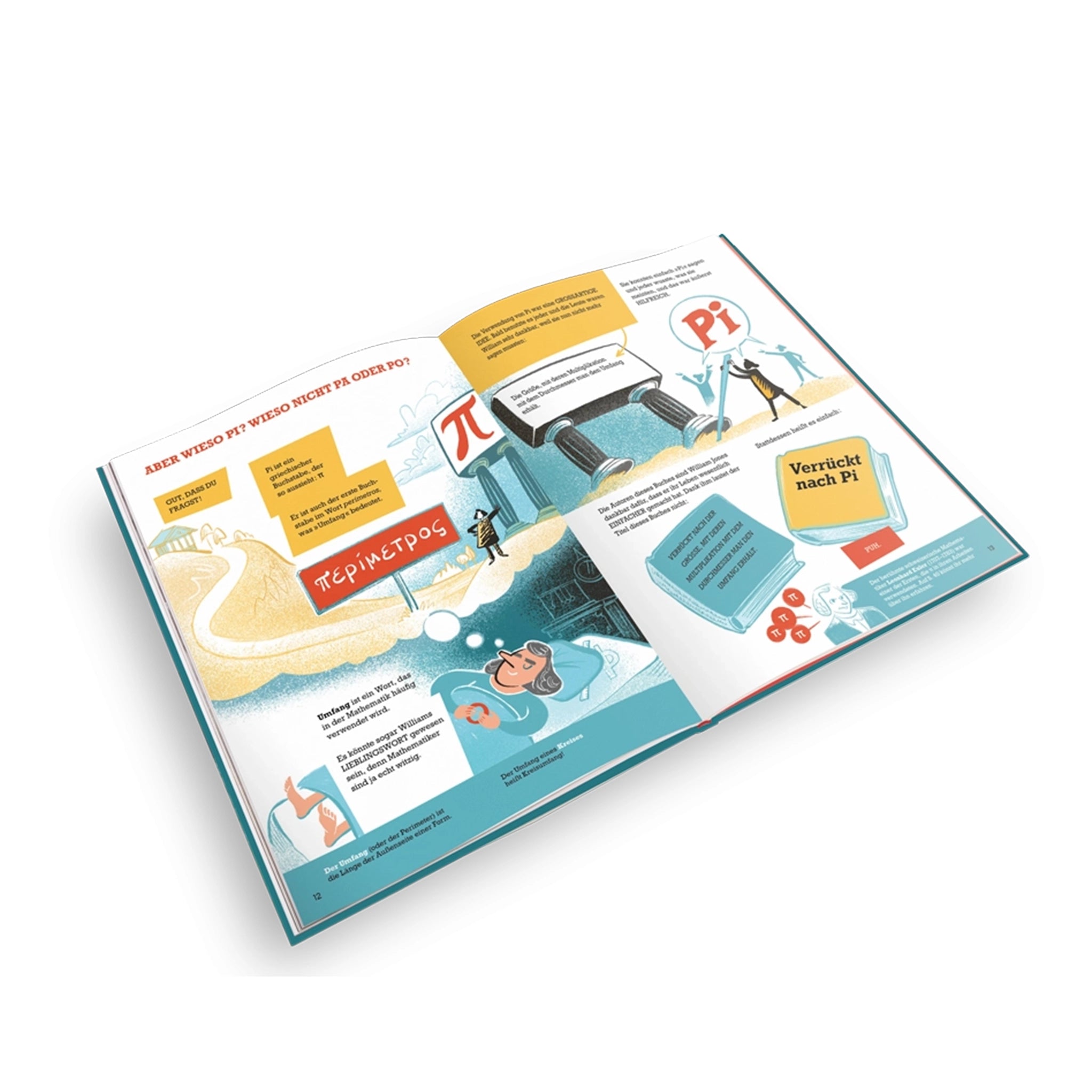 Buch Verrückt nach Pi