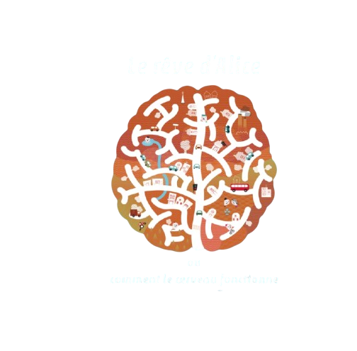 Livre Le rêve d'Alice ou comment le cerveau fonctionne