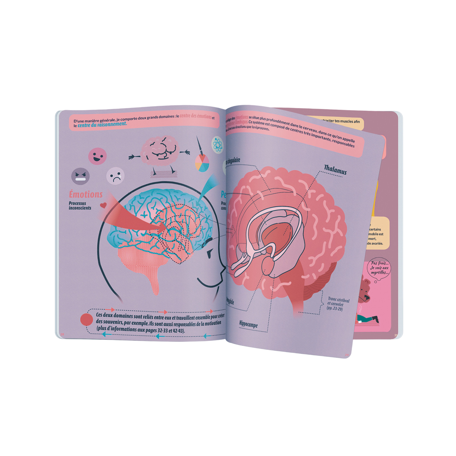 Livre Le rêve d?Alice ou comment le cerveau fonctionne