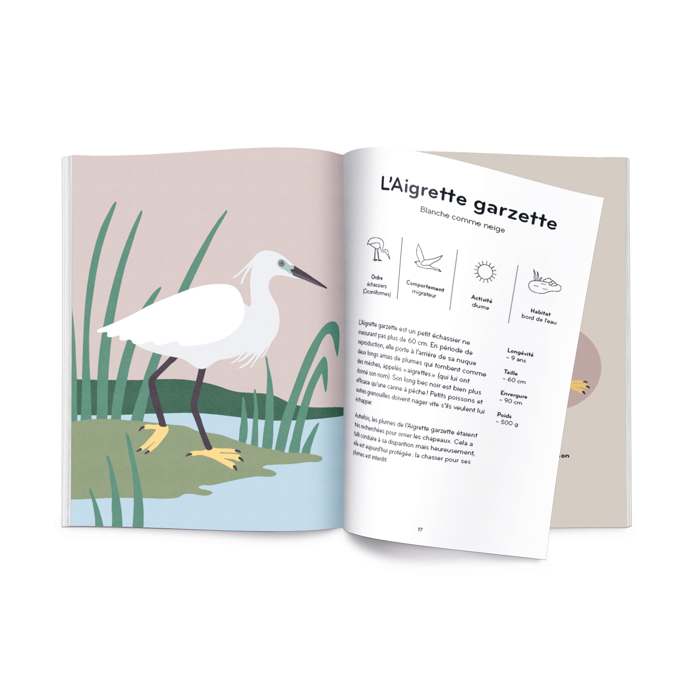 Livre Ornithorama FR