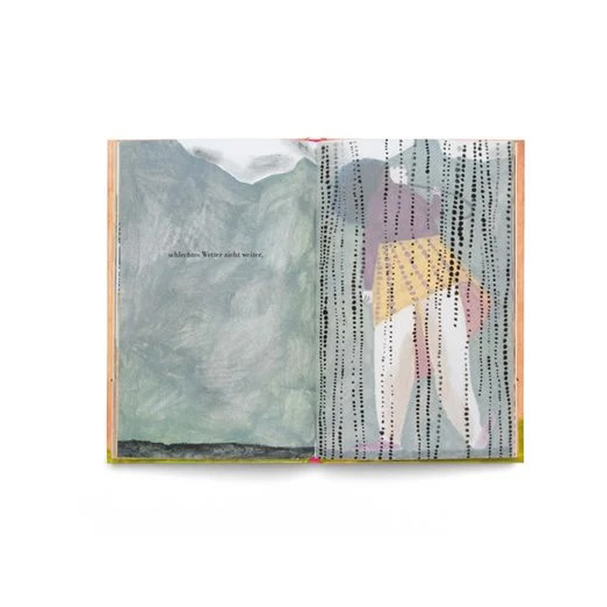 Buch Dinge, die vorüber gehen