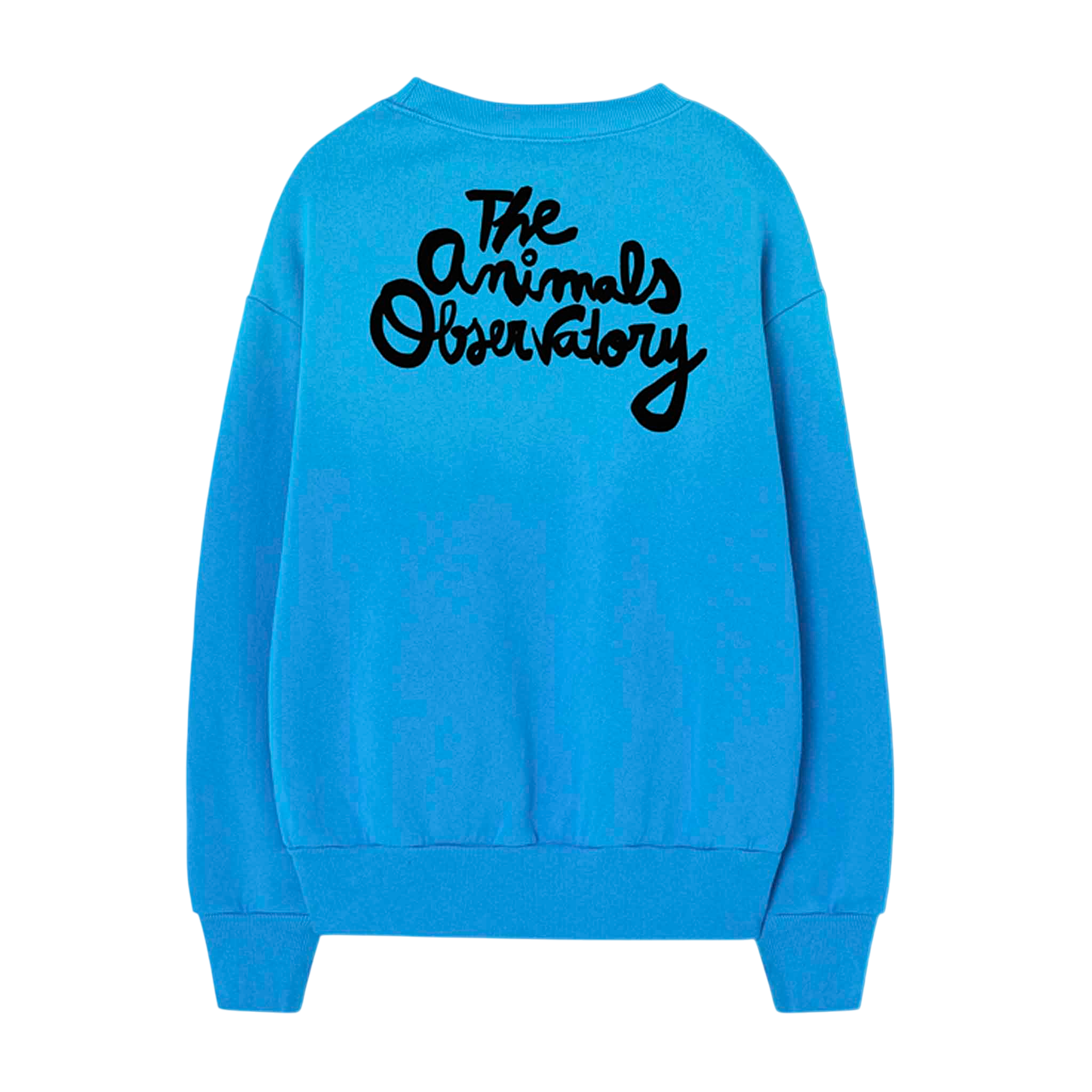Sweatshirt Bear Blue