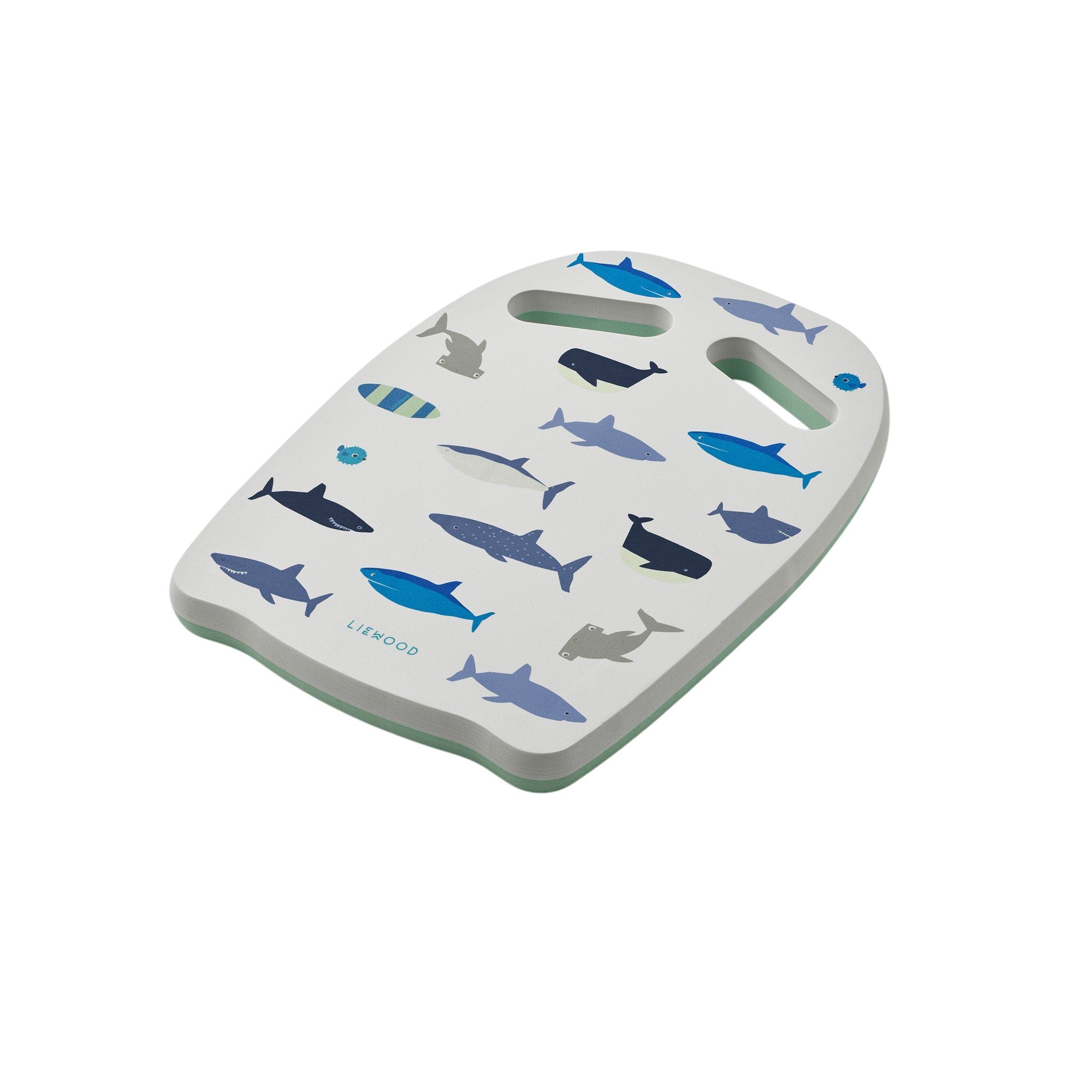 Planche de natation Hayden Shark Dove blue