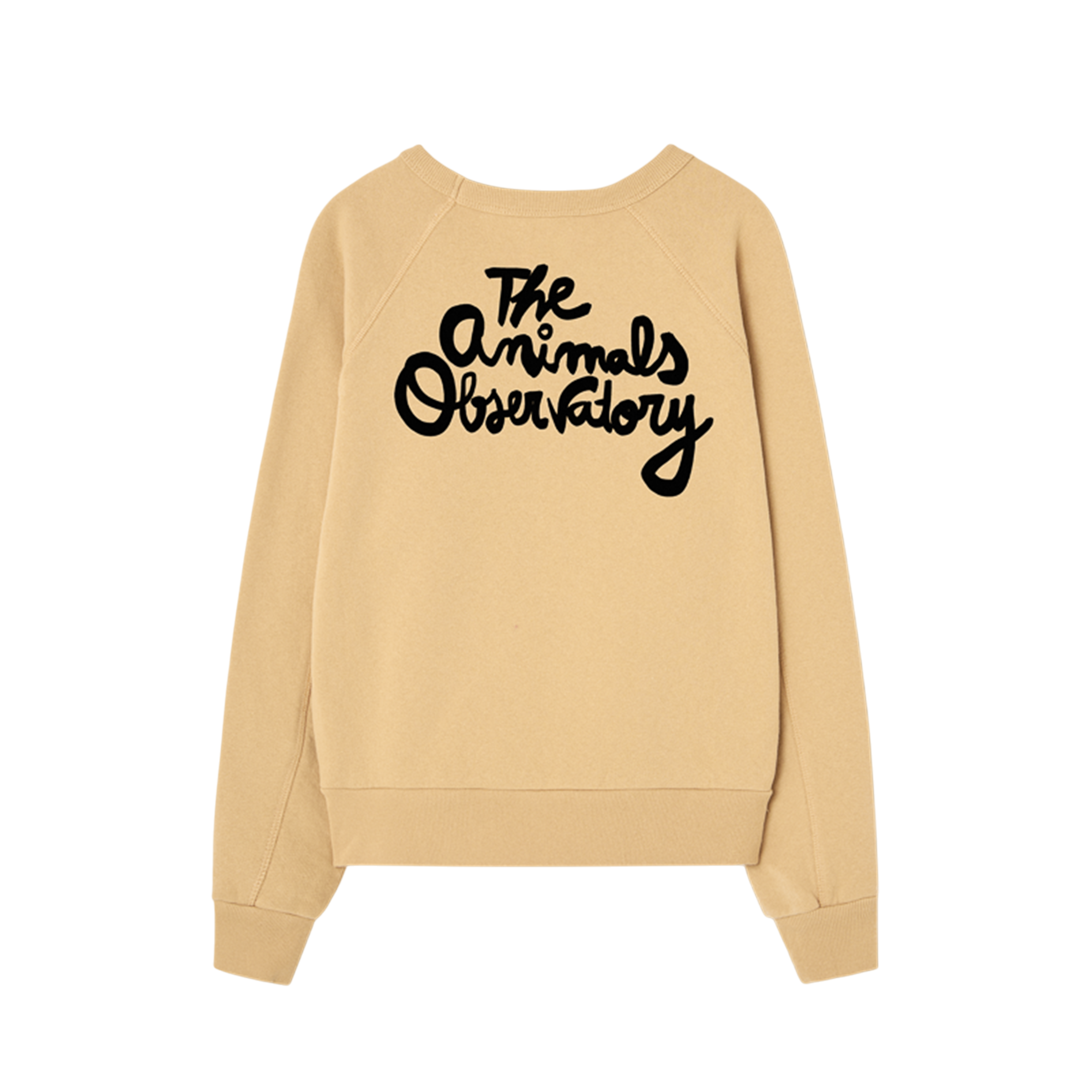 Sweat-shirt Shark Soft Brown