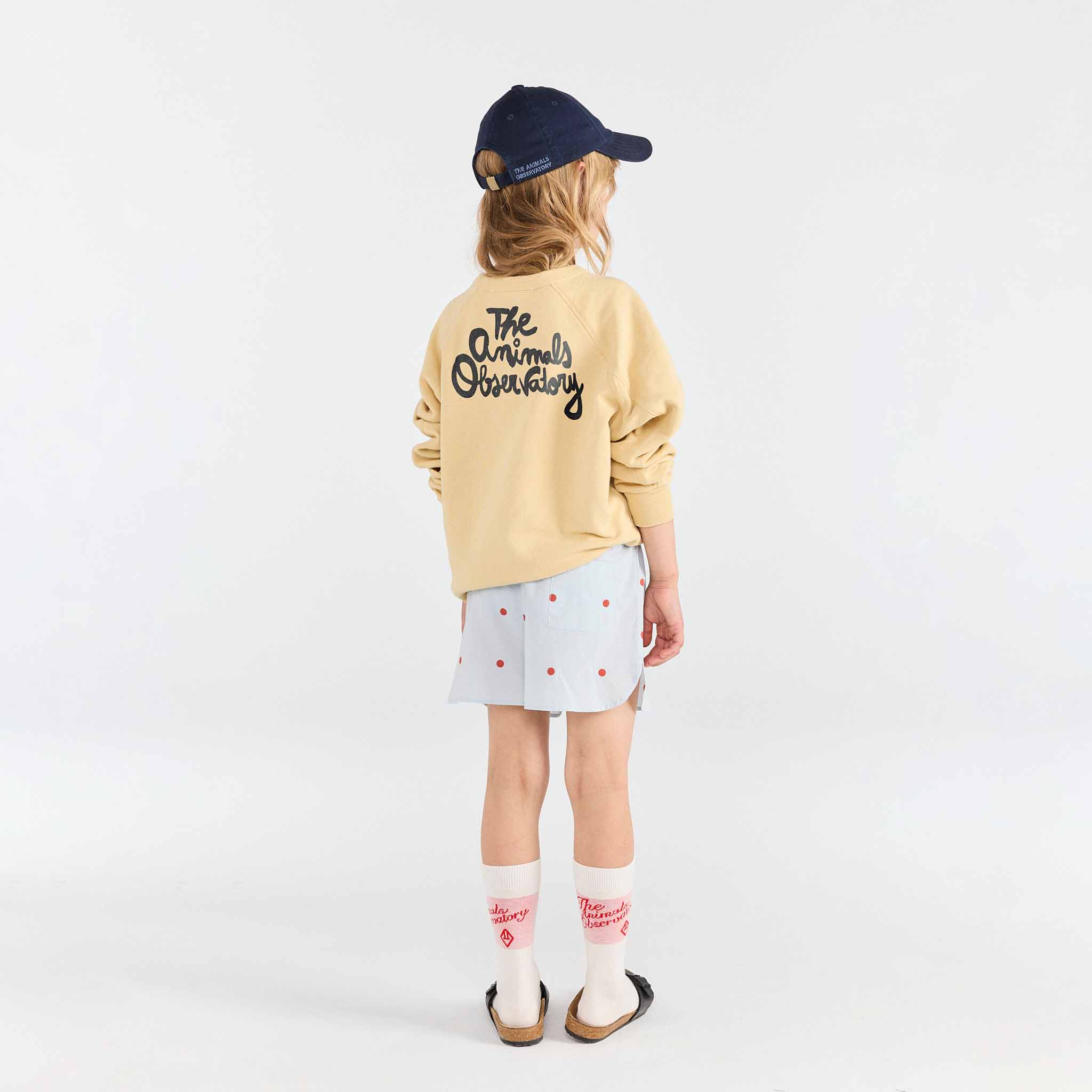 Sweat-shirt Shark Soft Brown