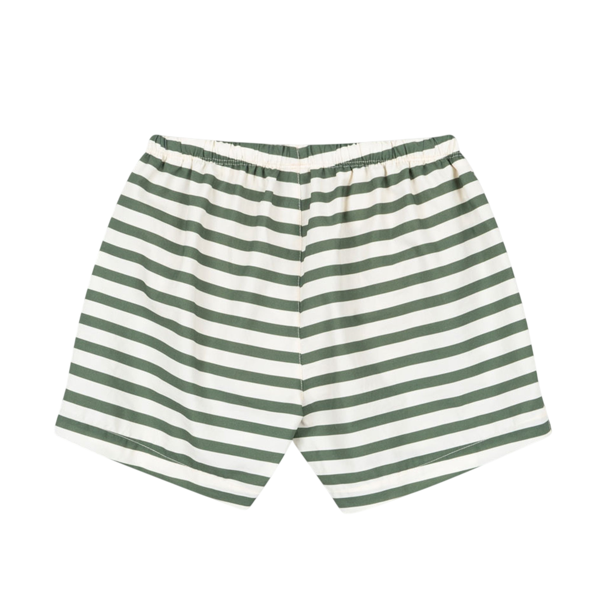 Asnou Stripe Verti swim shorts