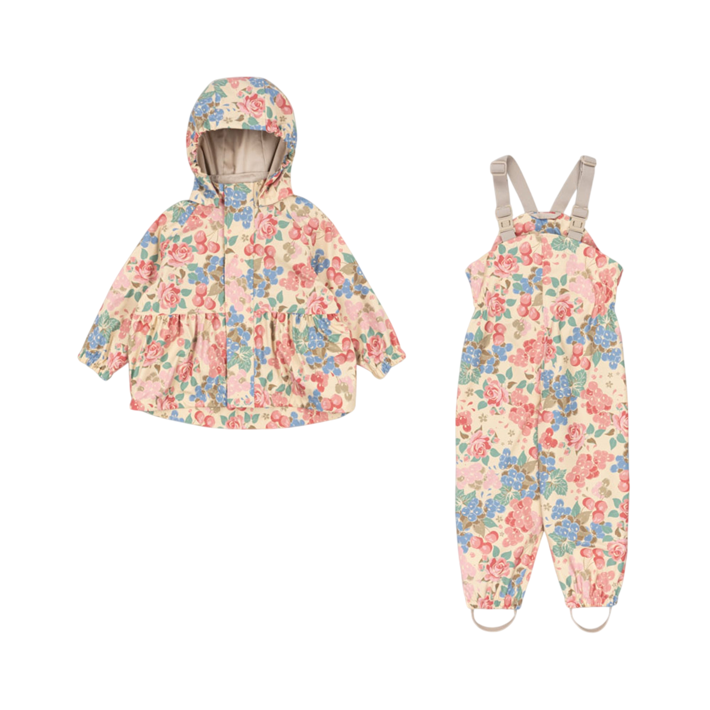 Regenset Rainy Palme Bloomigrape