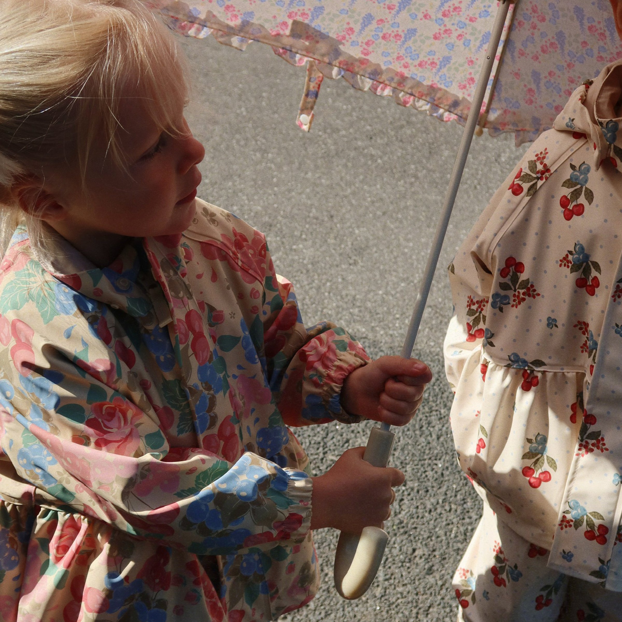 Regenset Rainy Palme Bloomigrape