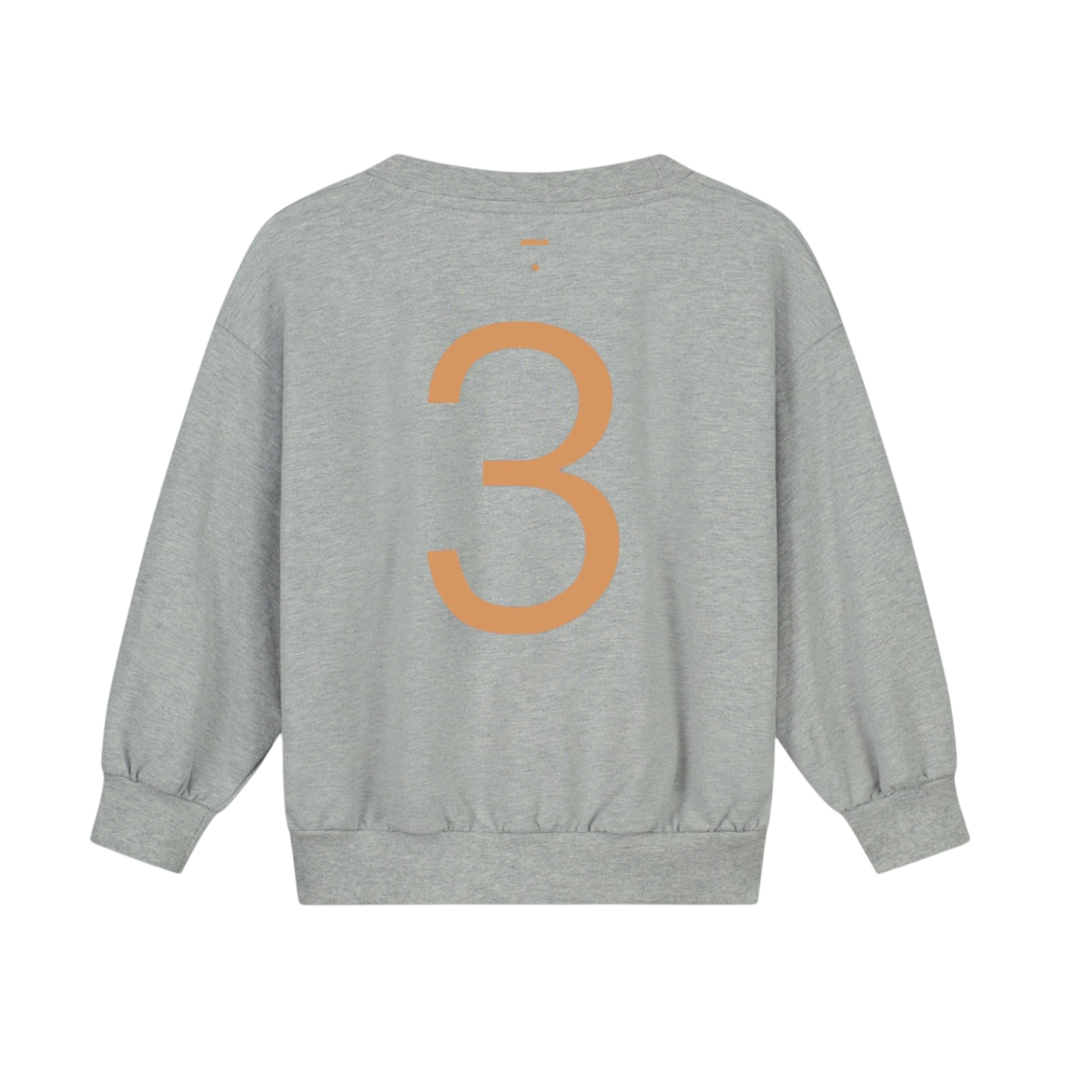 Birthday Sweatshirt 3 Grey Melange Melon