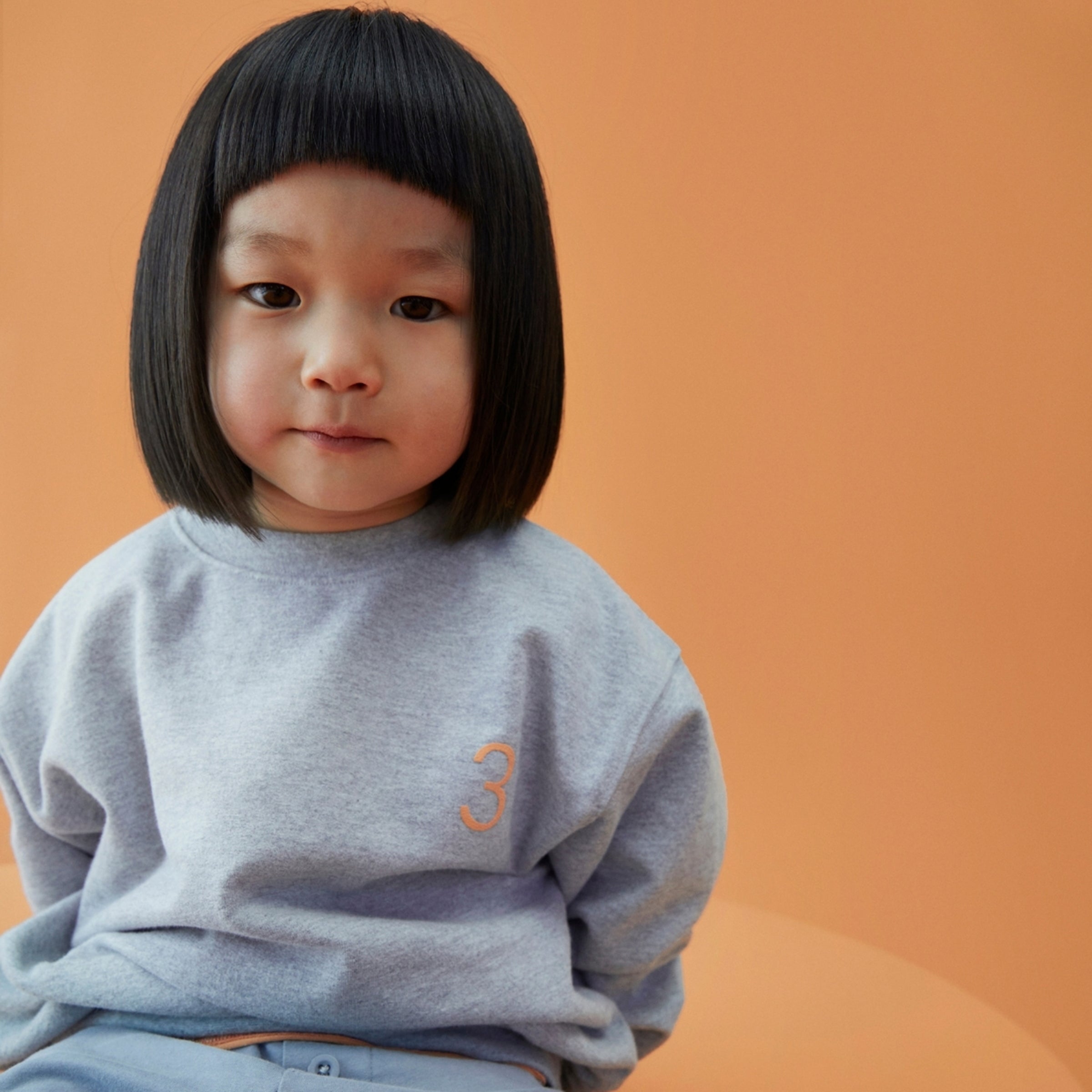 Birthday Sweatshirt 3 Grey Melange Melon