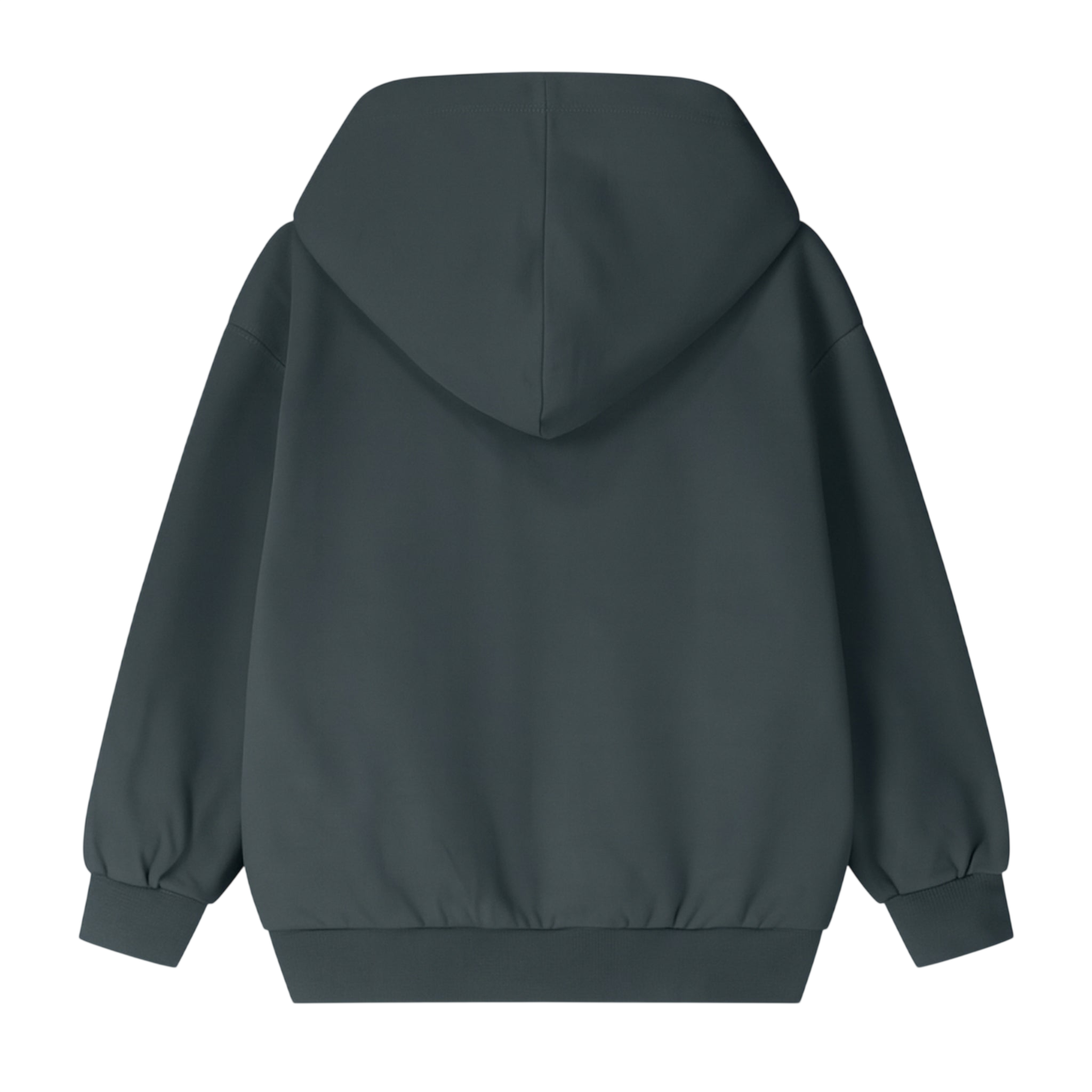 Hoodie Bleu Gris