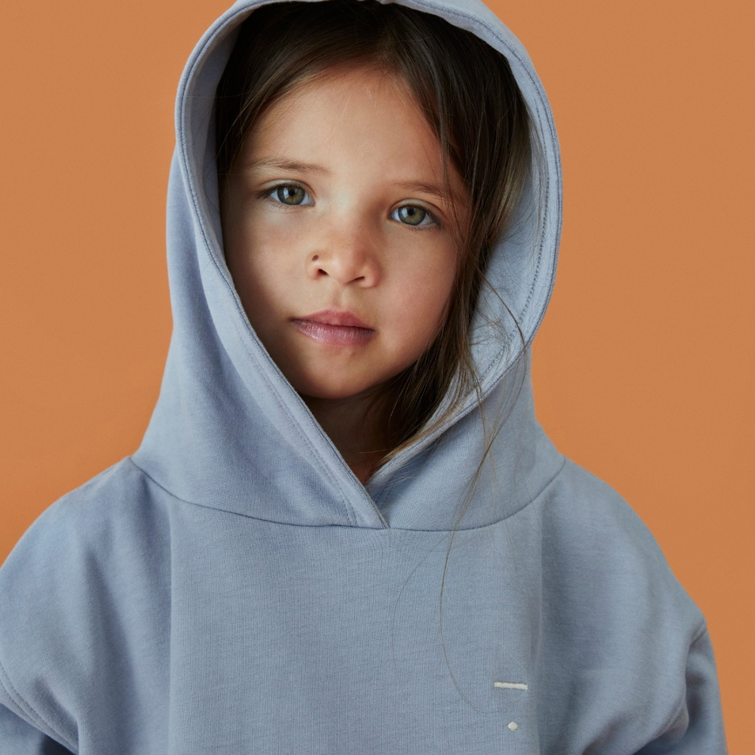 Sweat à capuche Stone Grey