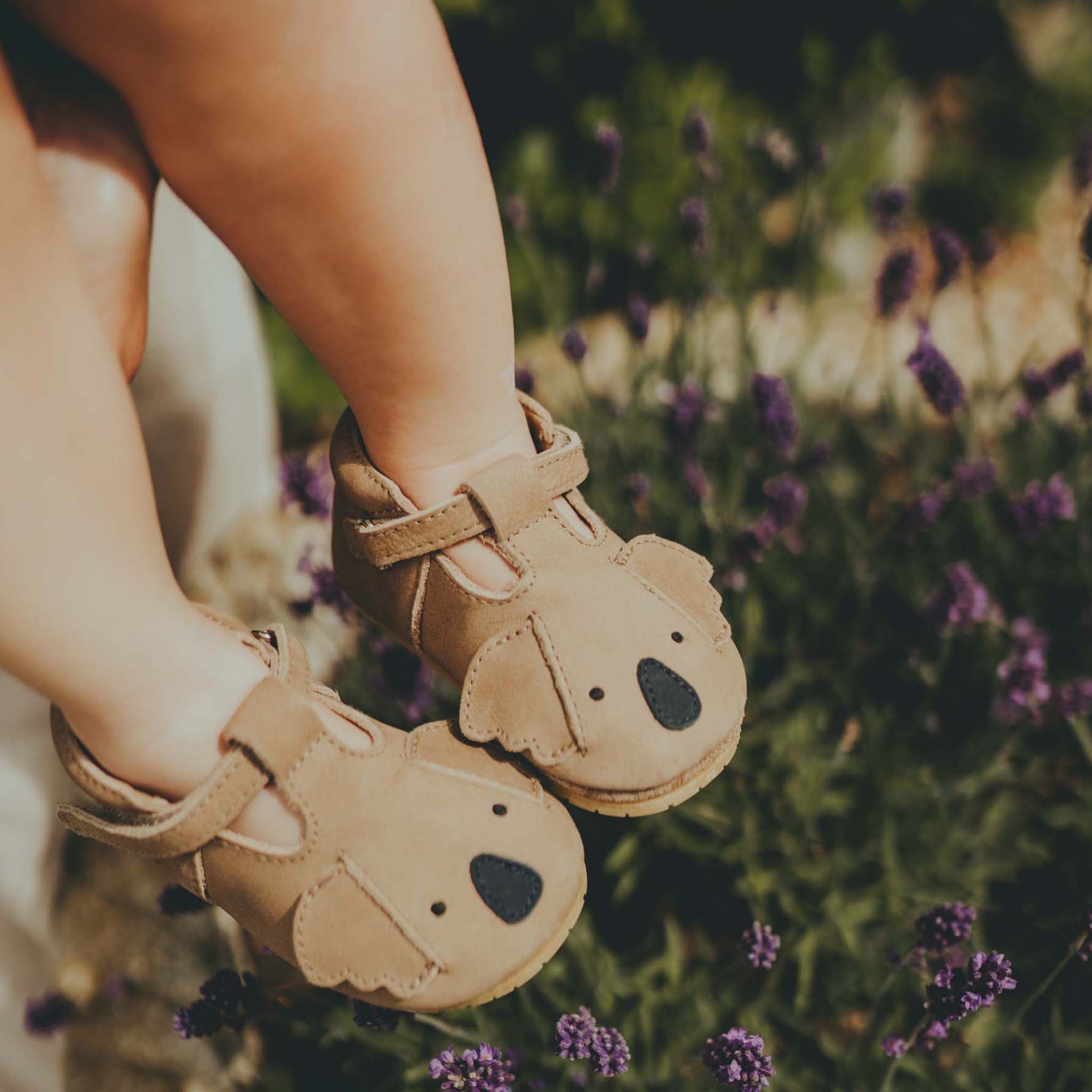 Baby shoes Spark Koala Truffle Nubuck