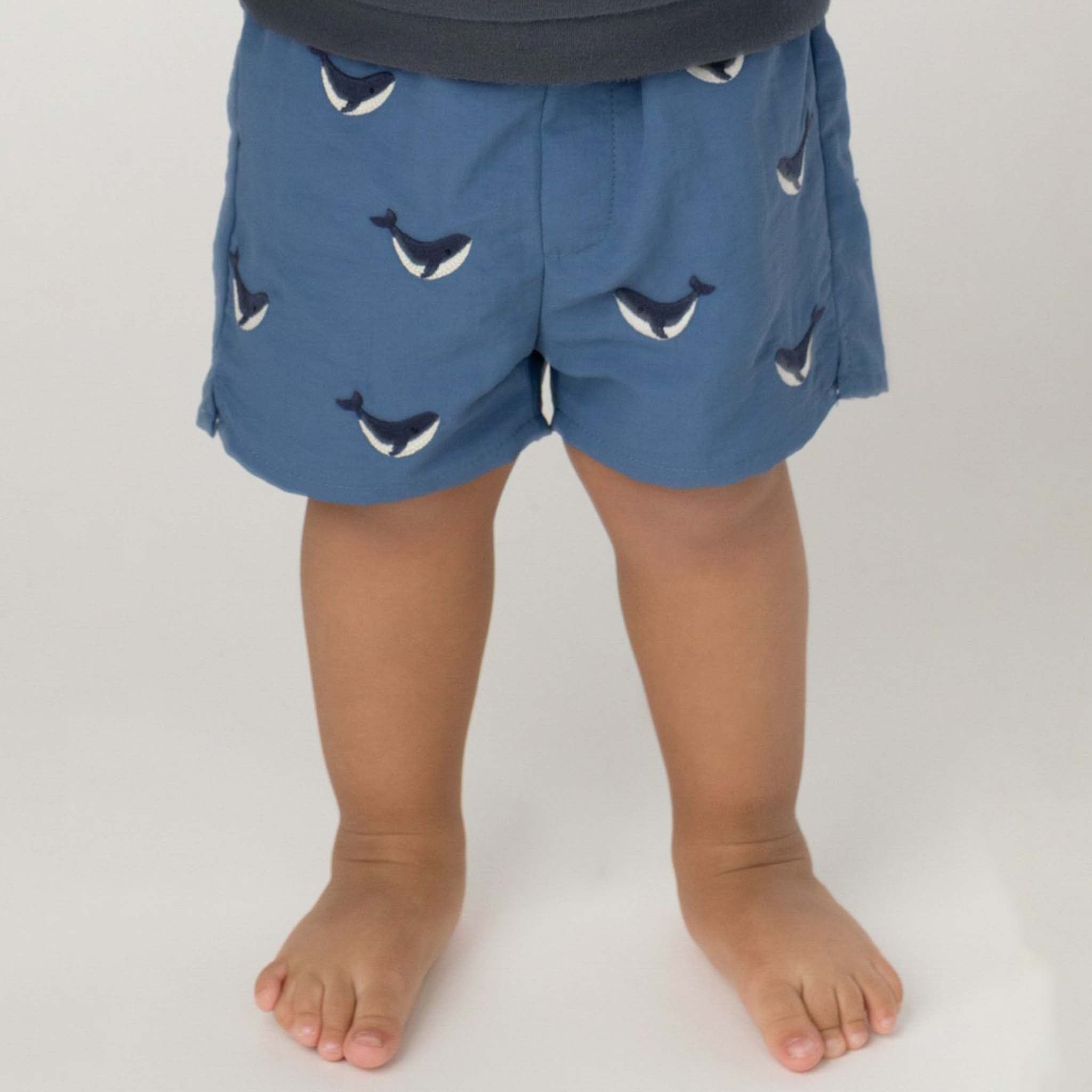 Wangu Whales Royal Blue swim trunks