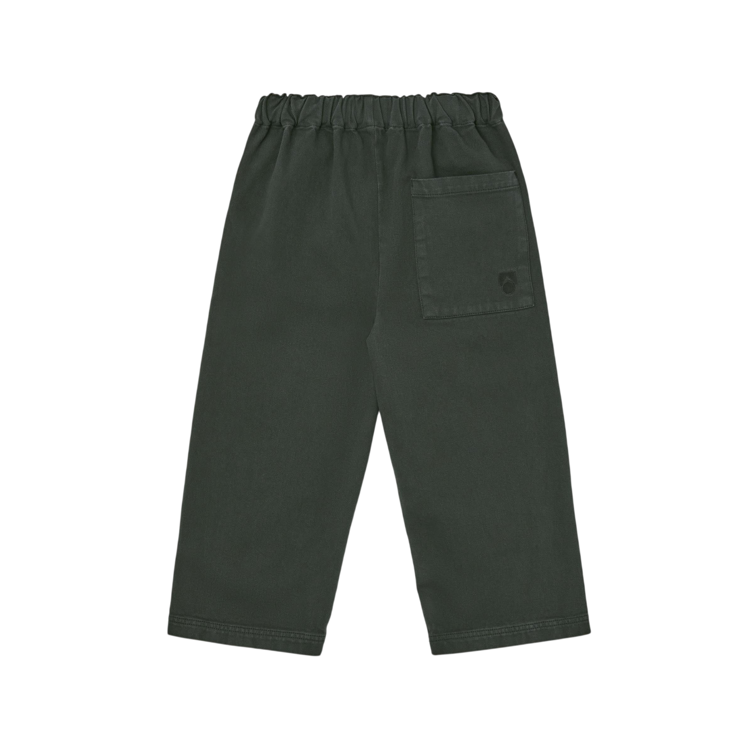 Scarab Twill pants