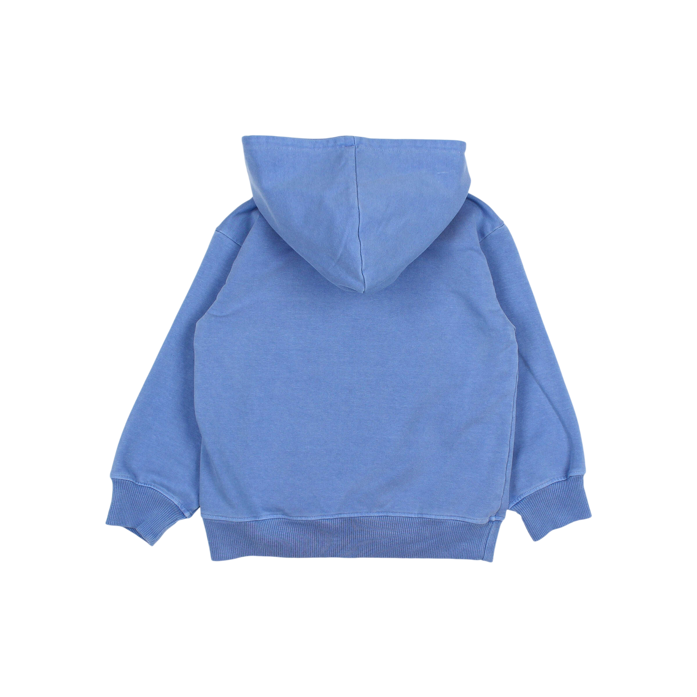 Sweat à capuche Surf Blue