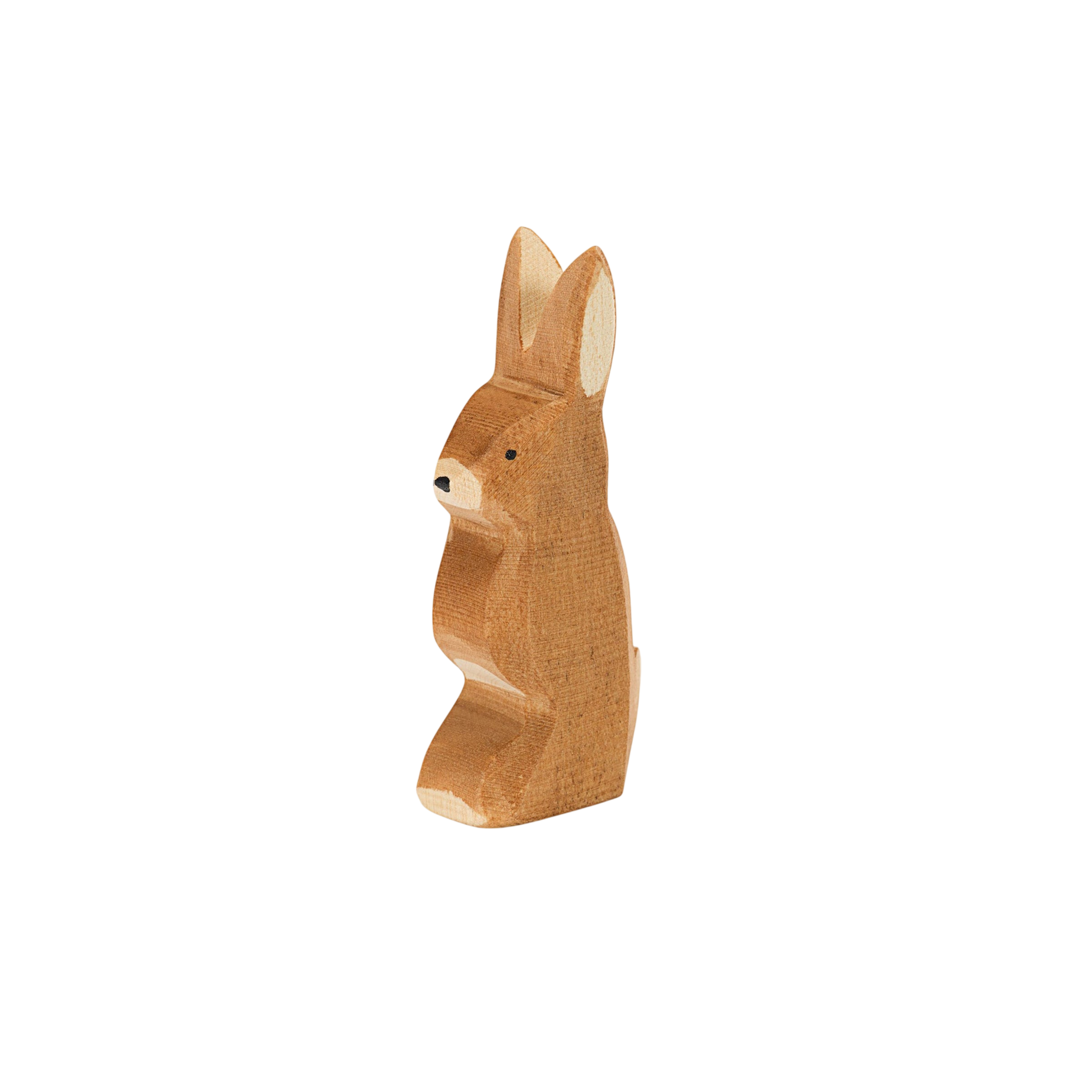 Ostheimer Lapin oreille haute