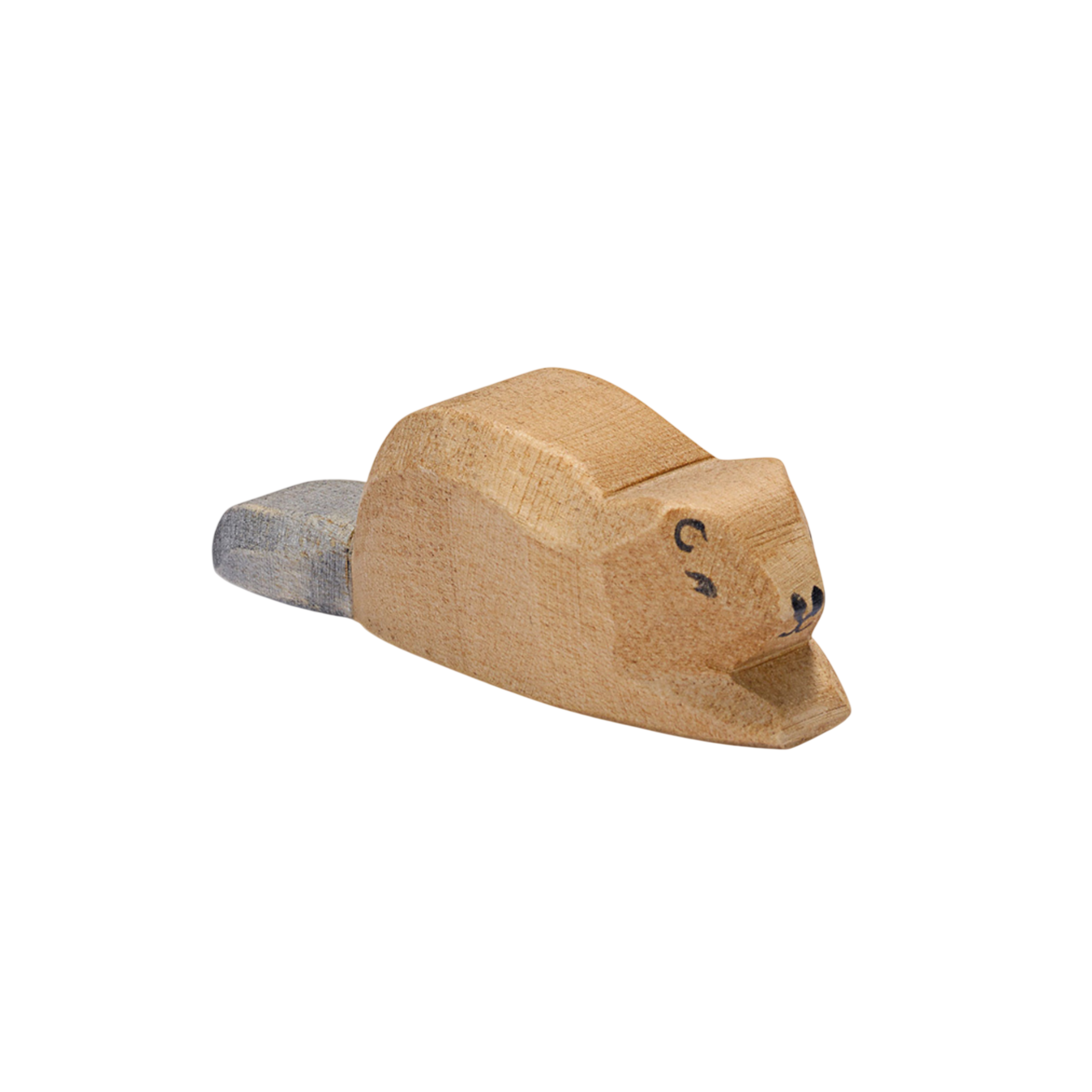 Ostheimer Castor petit bois