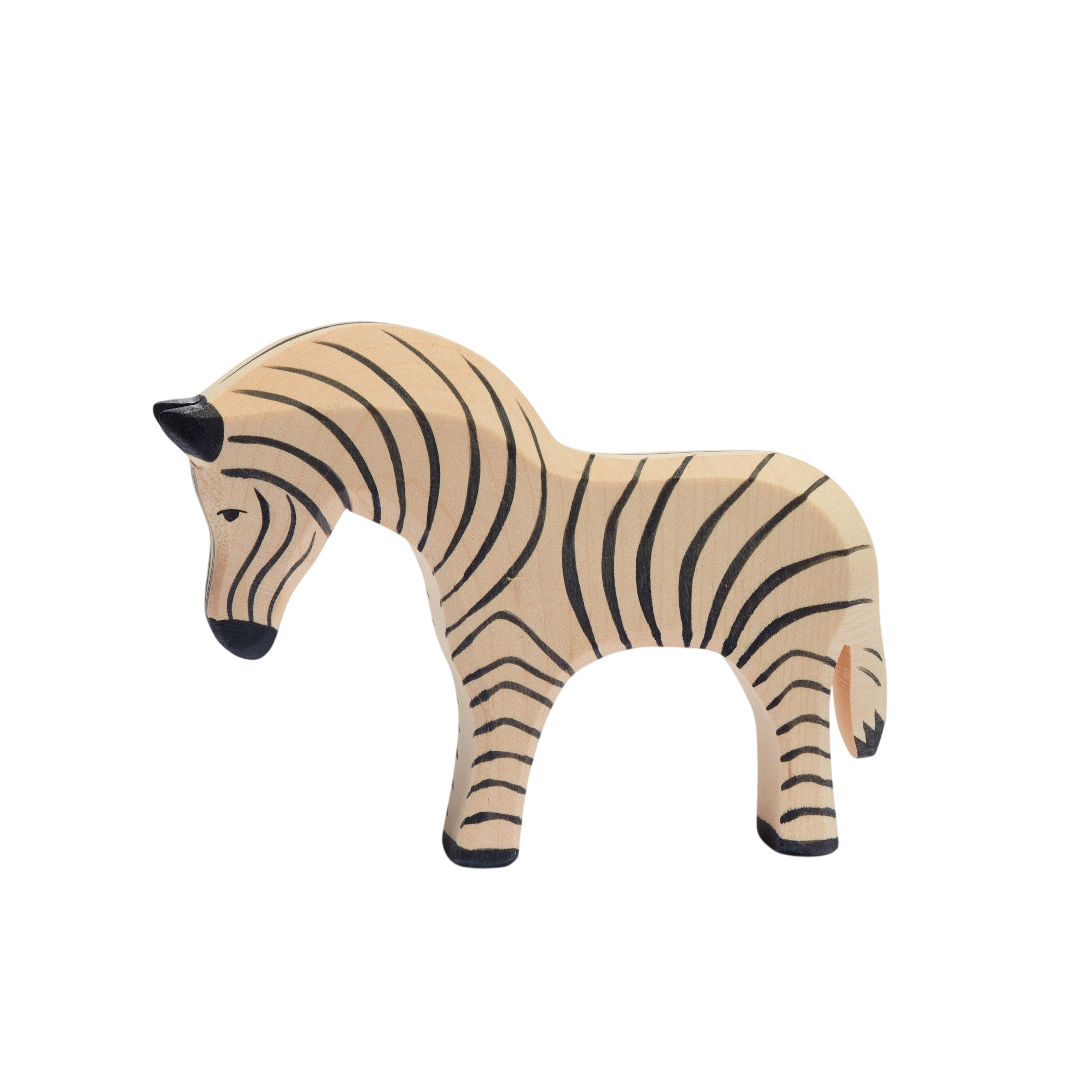 Ostheimer Zebra