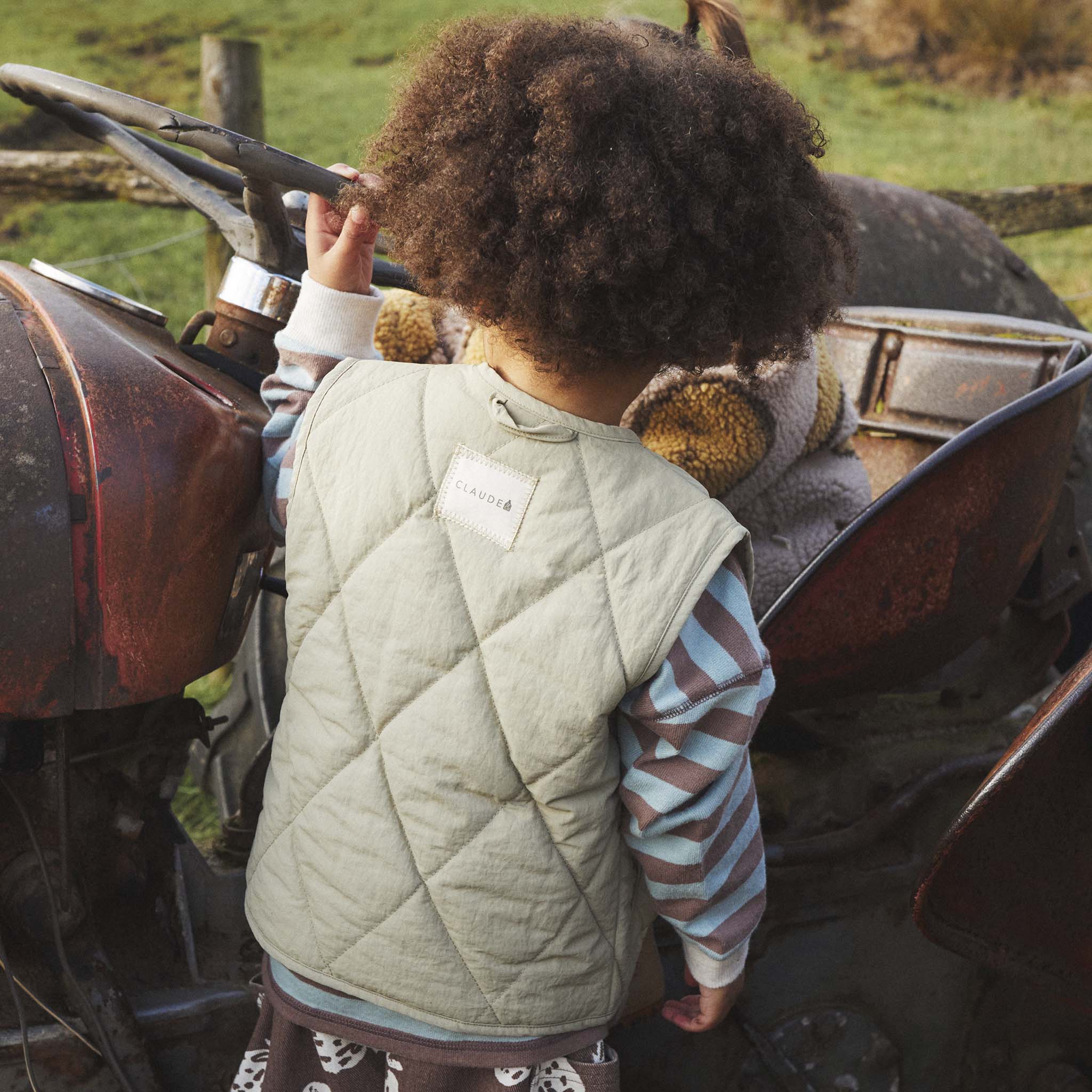 Aster Sage Gilet Sage