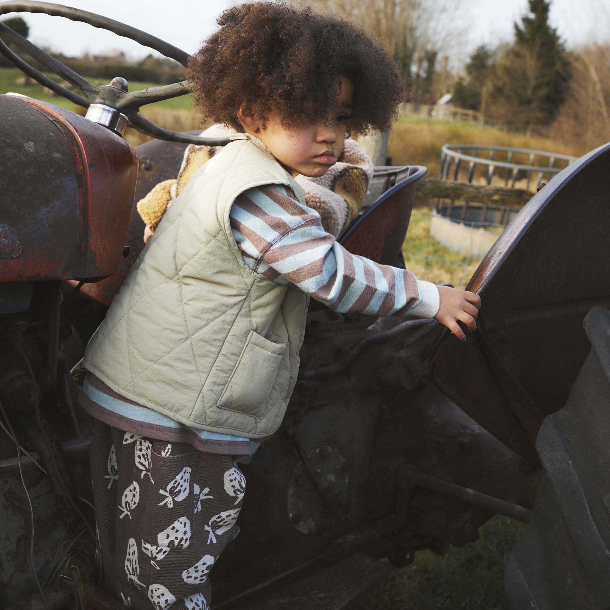 Aster Sage Gilet Sage