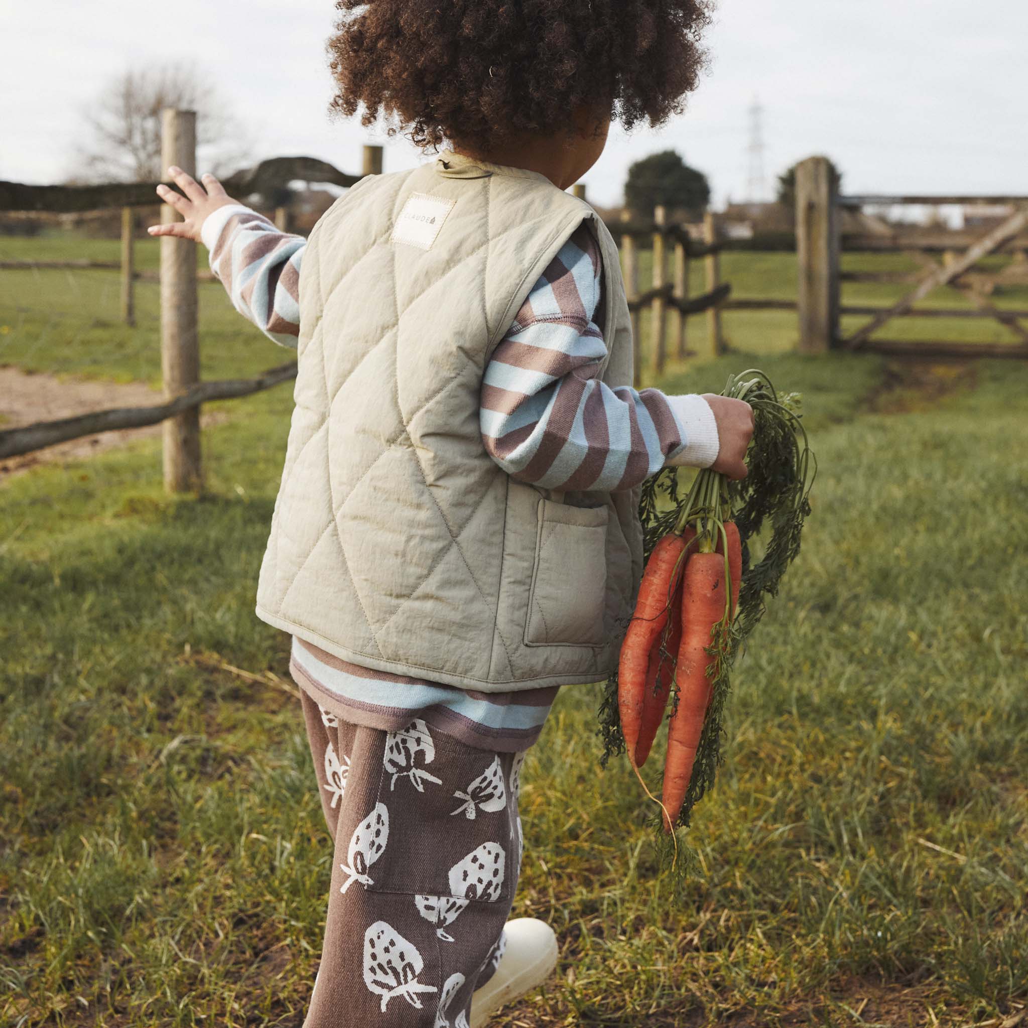 Aster Sage Gilet Sage