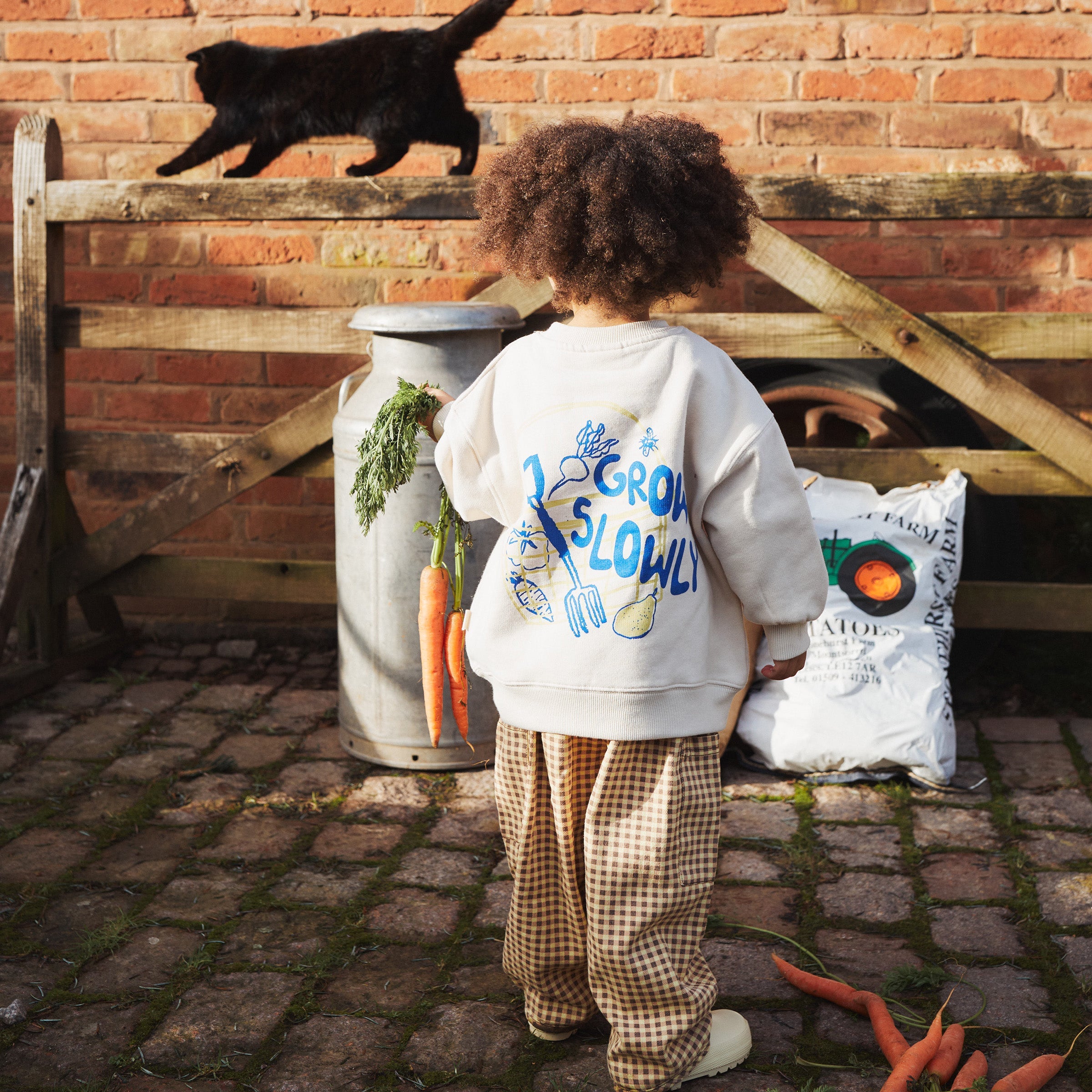 Carner Grow Slowly Sweat Cream