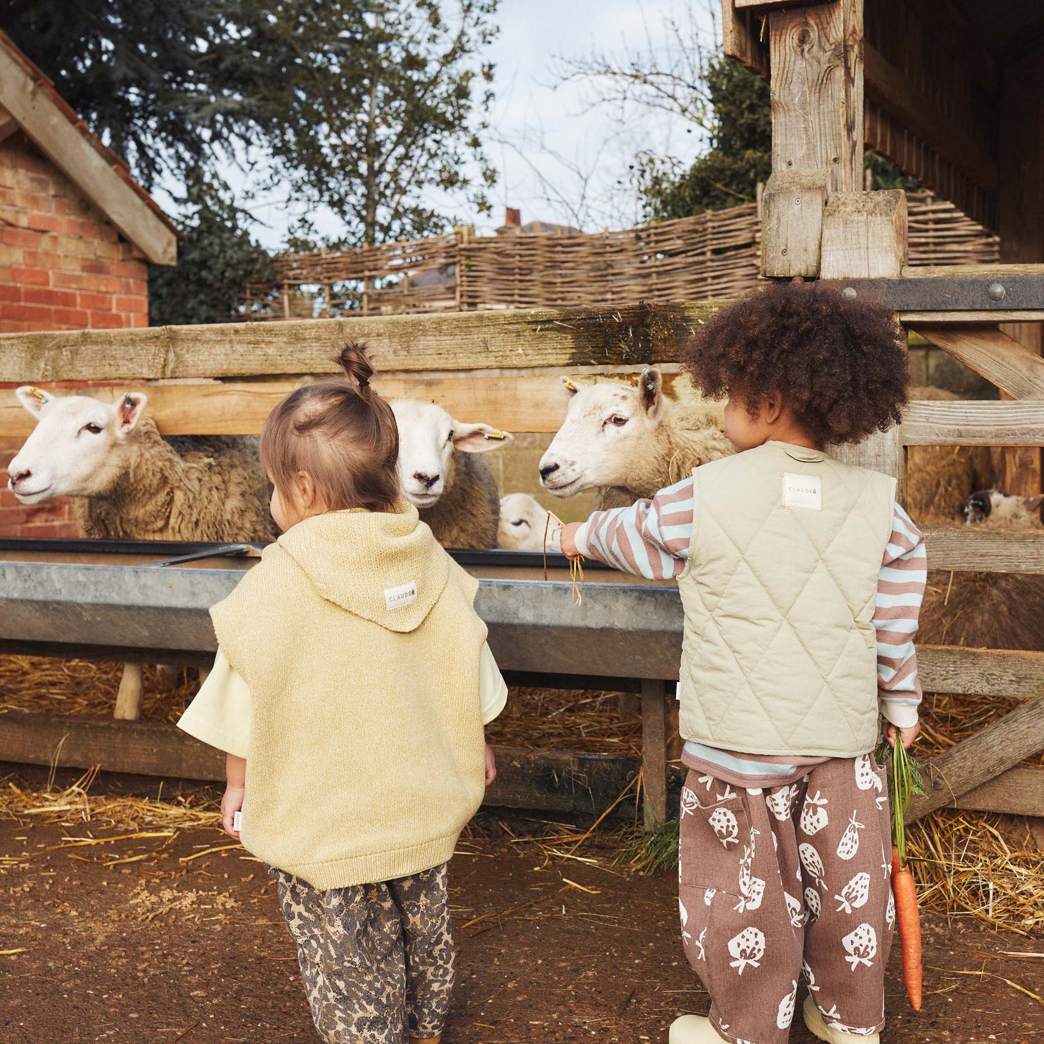 Emerson Choc Strab Trouser Chocolate