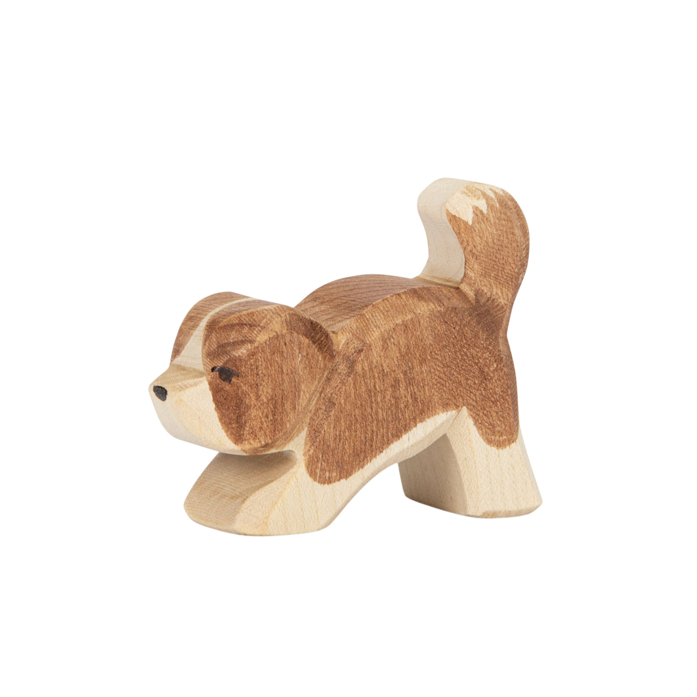 Ostheimer Saint-Bernard petite tête bois profond