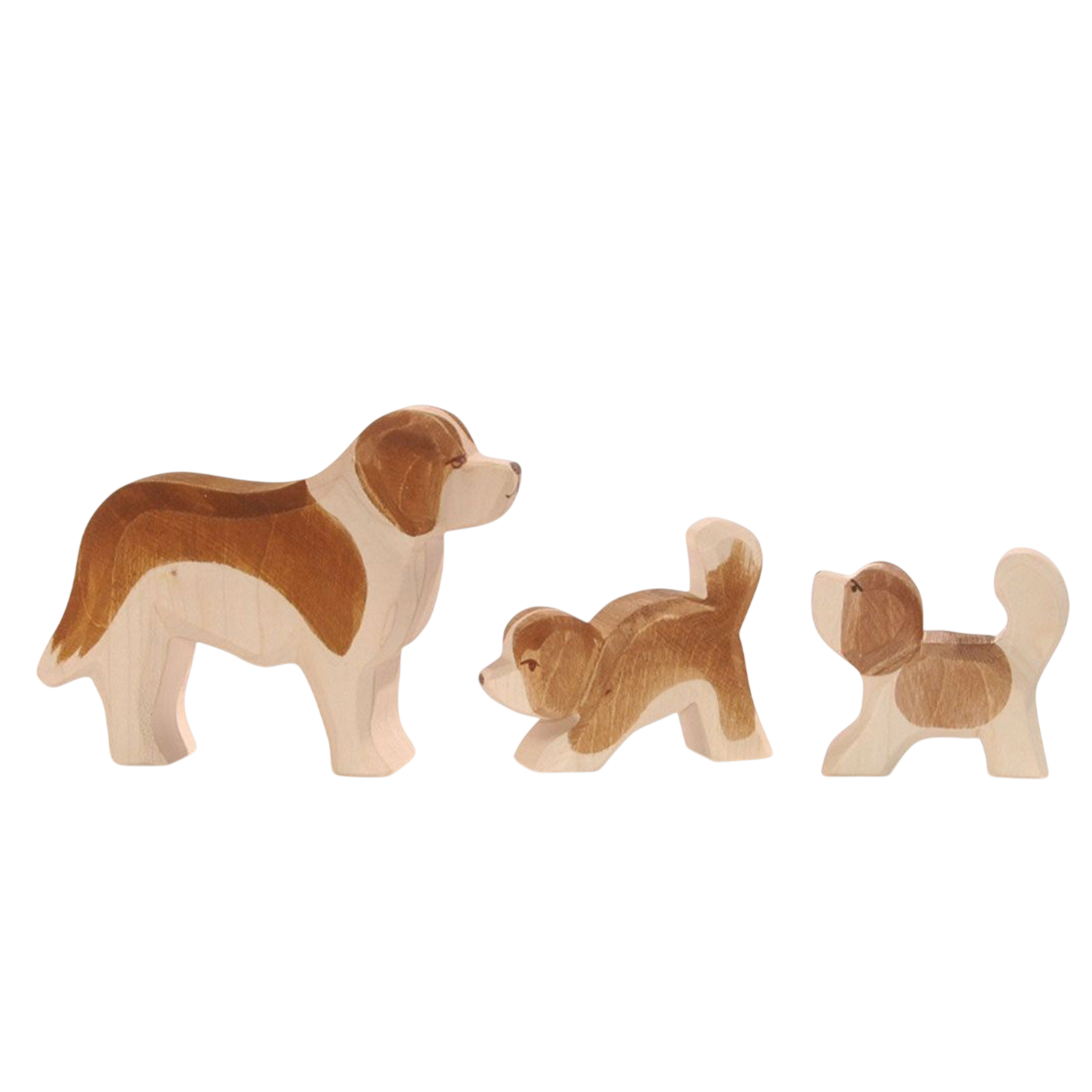 Ostheimer Saint-Bernard petite tête bois profond
