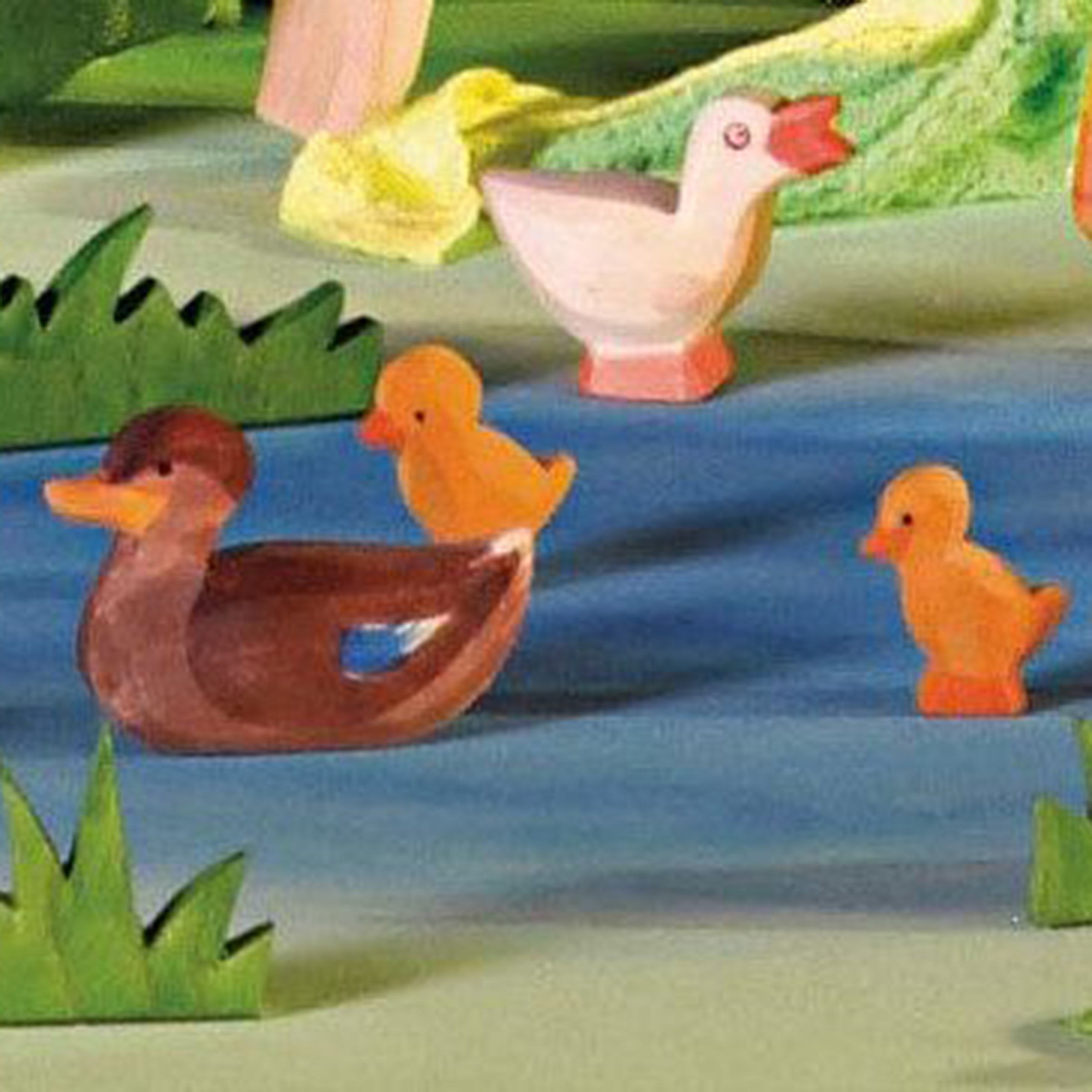 Ostheimer duck swimming