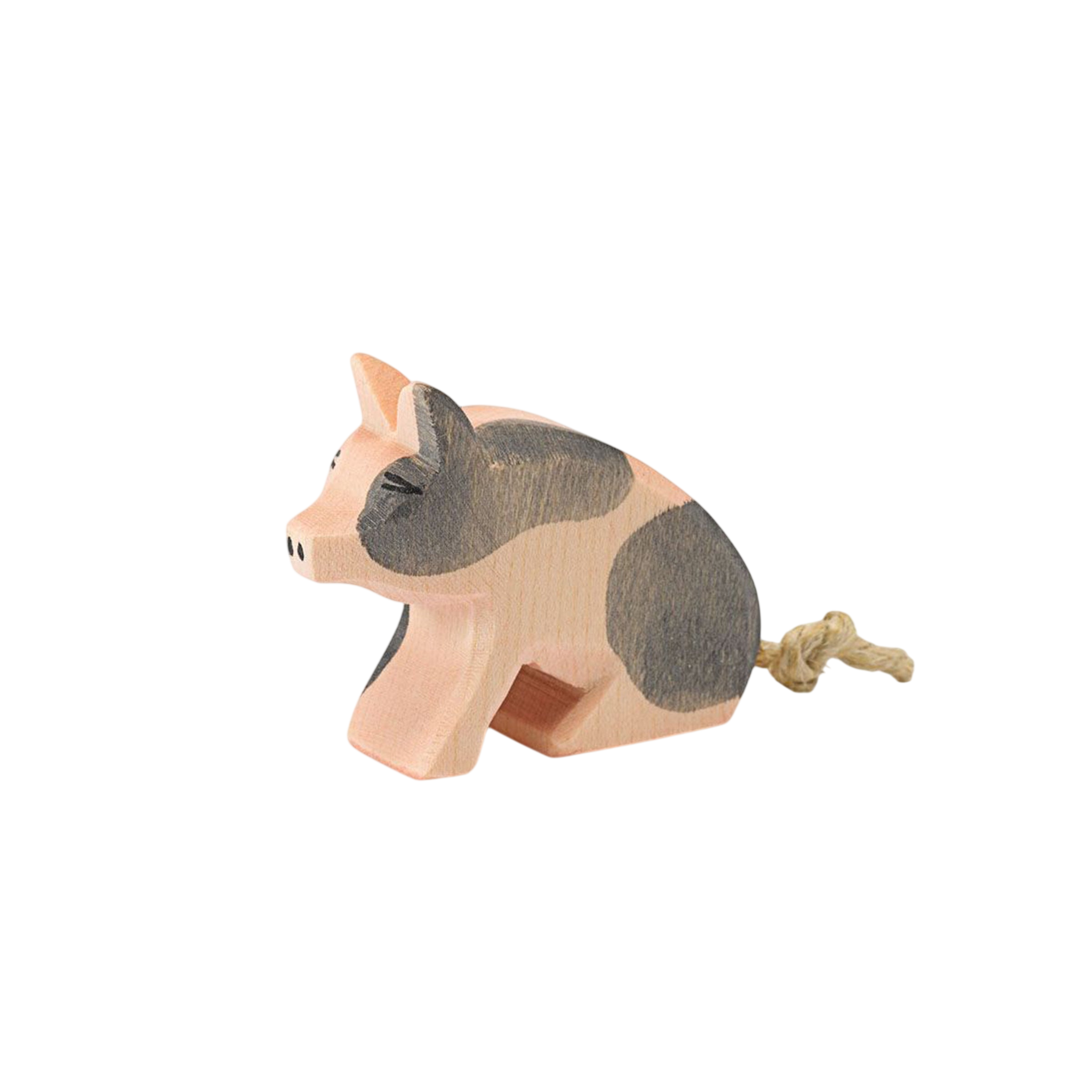 Ostheimer piglet spotted sitting wood
