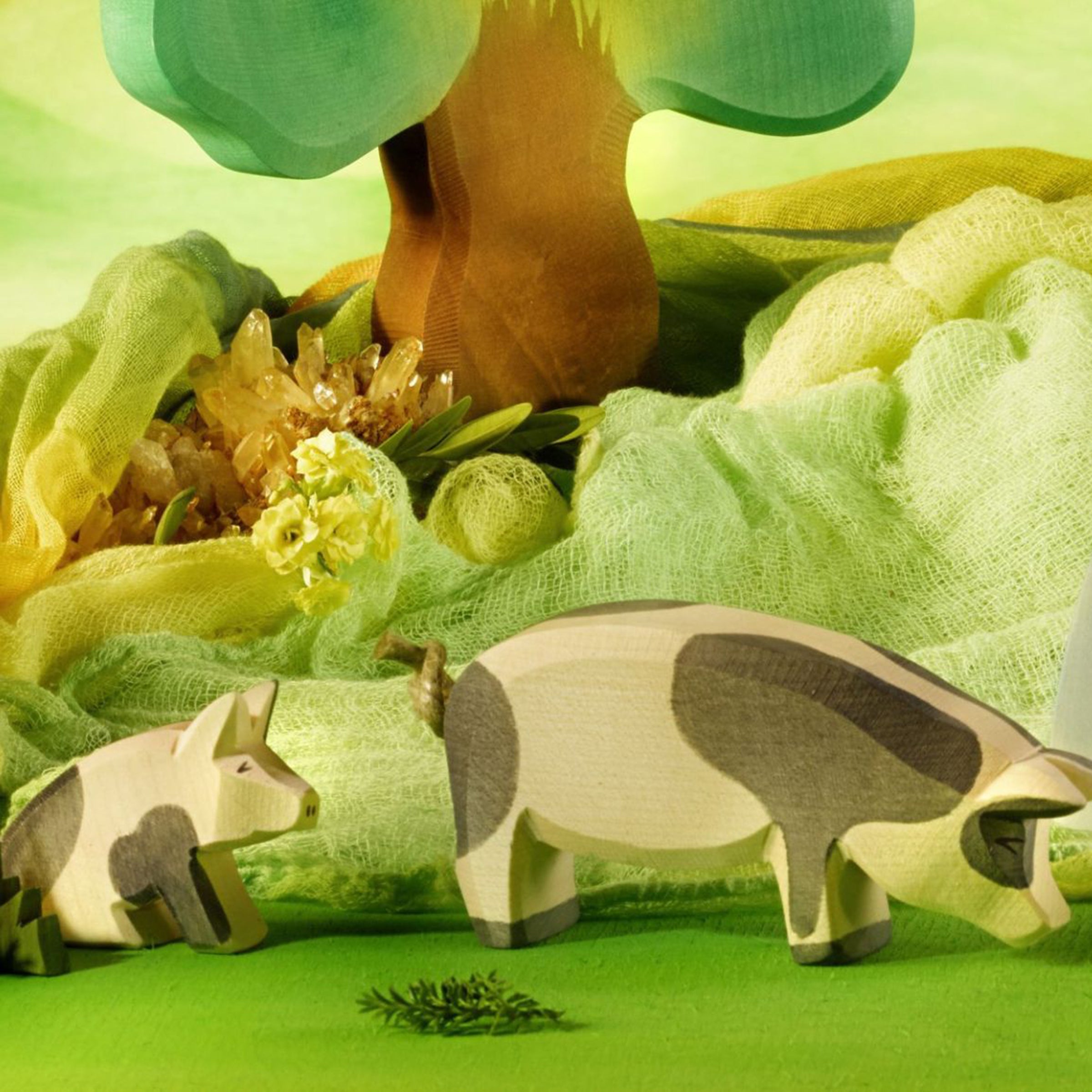 Ostheimer piglet spotted sitting wood