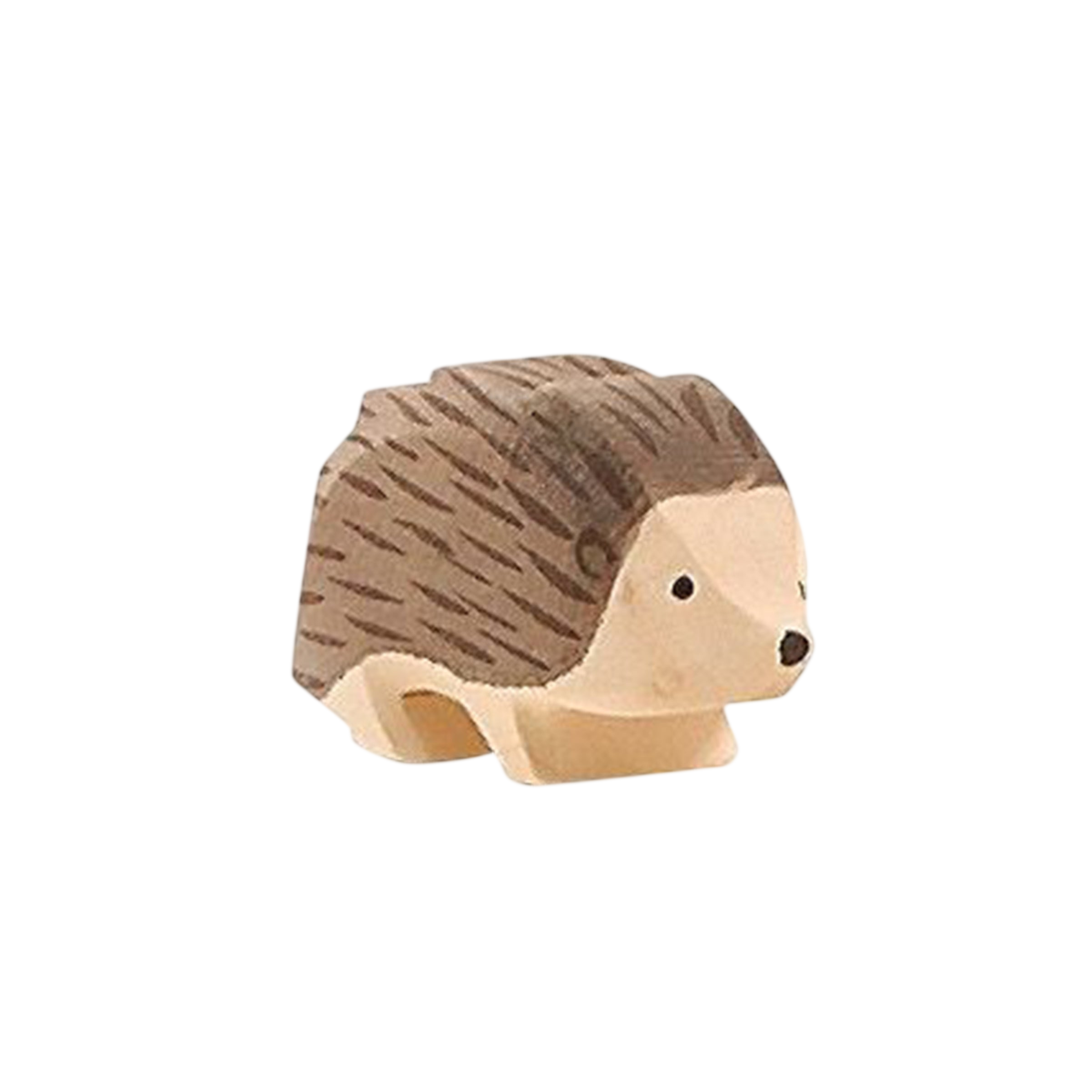 Ostheimer hedgehog