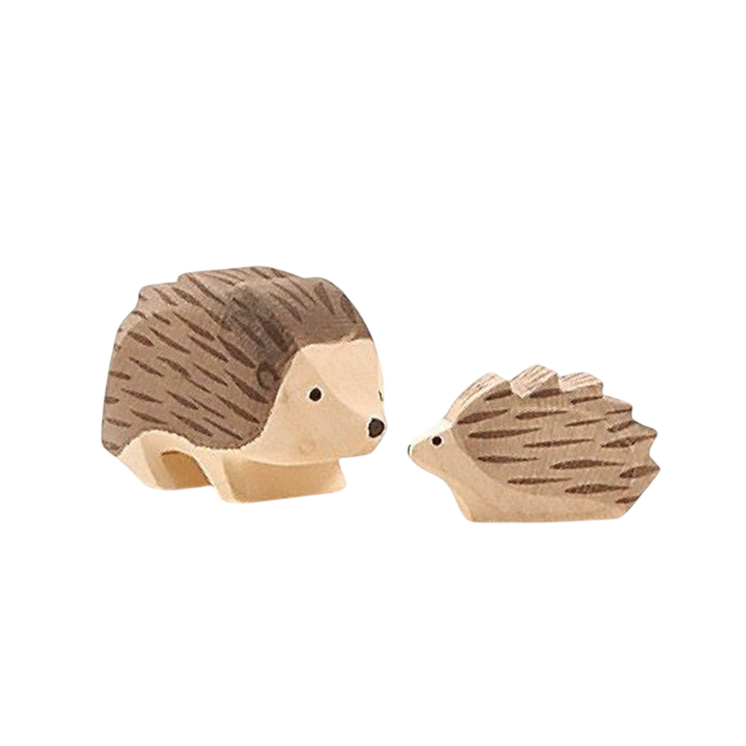 Ostheimer hedgehog