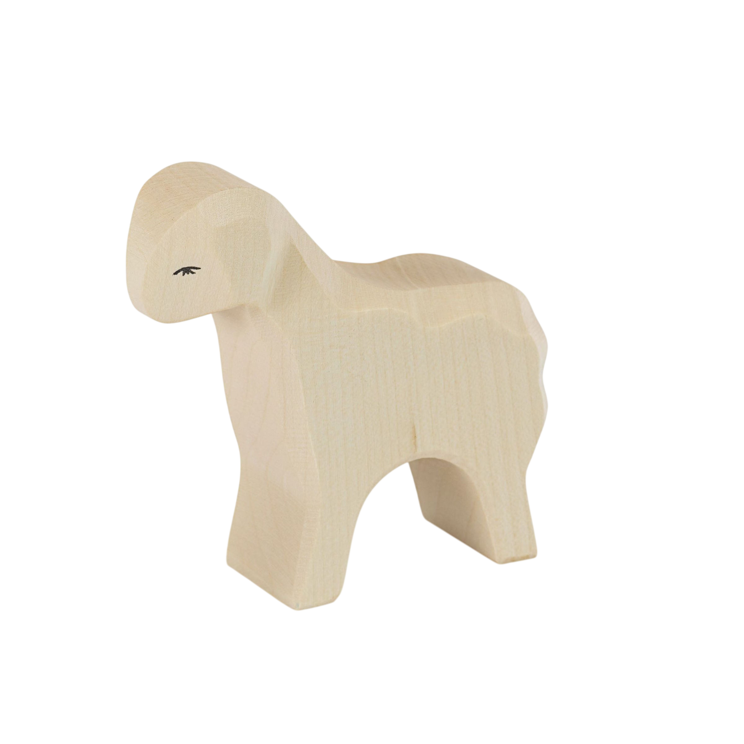Ostheimer Sheep standing