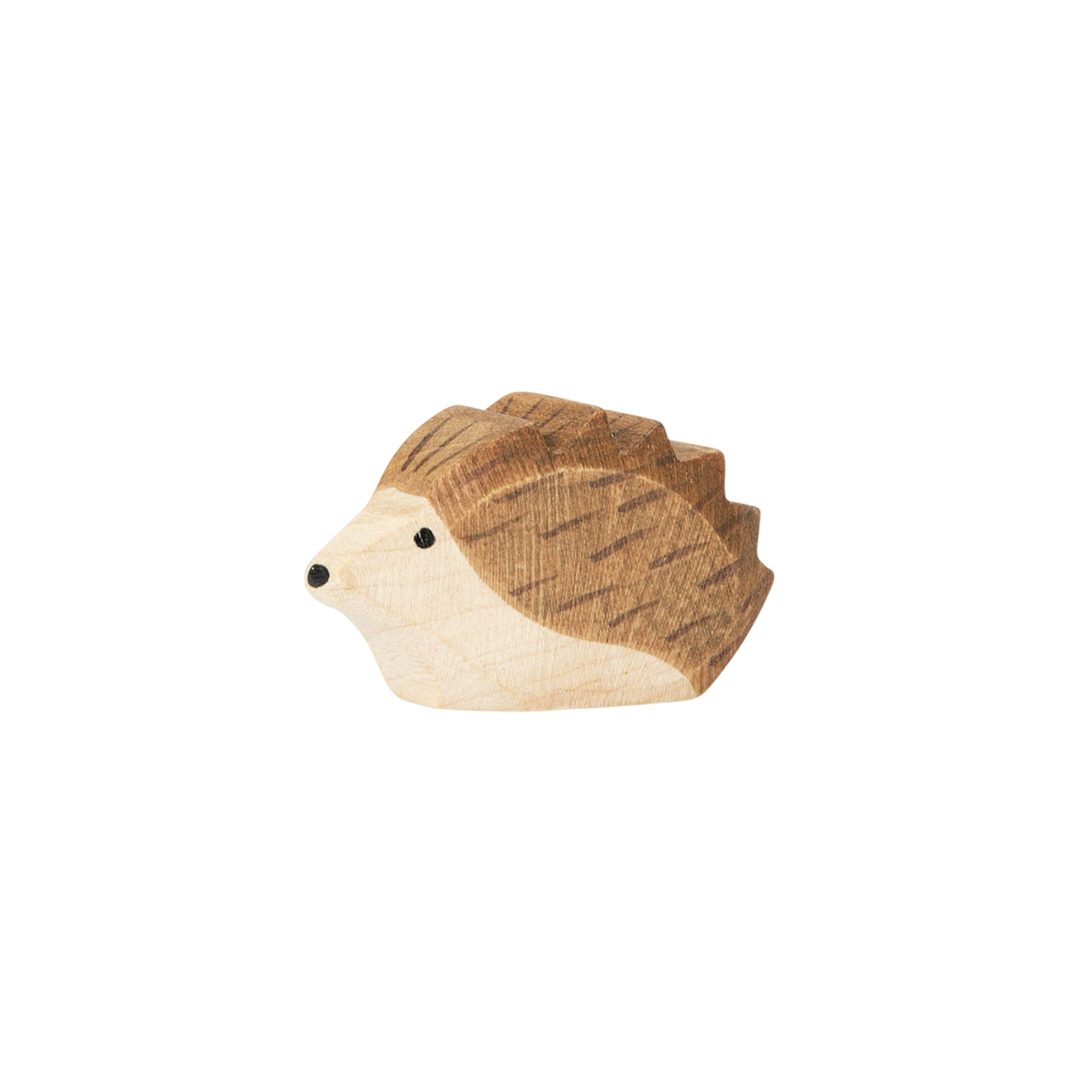 Ostheimer Hérisson petit bois