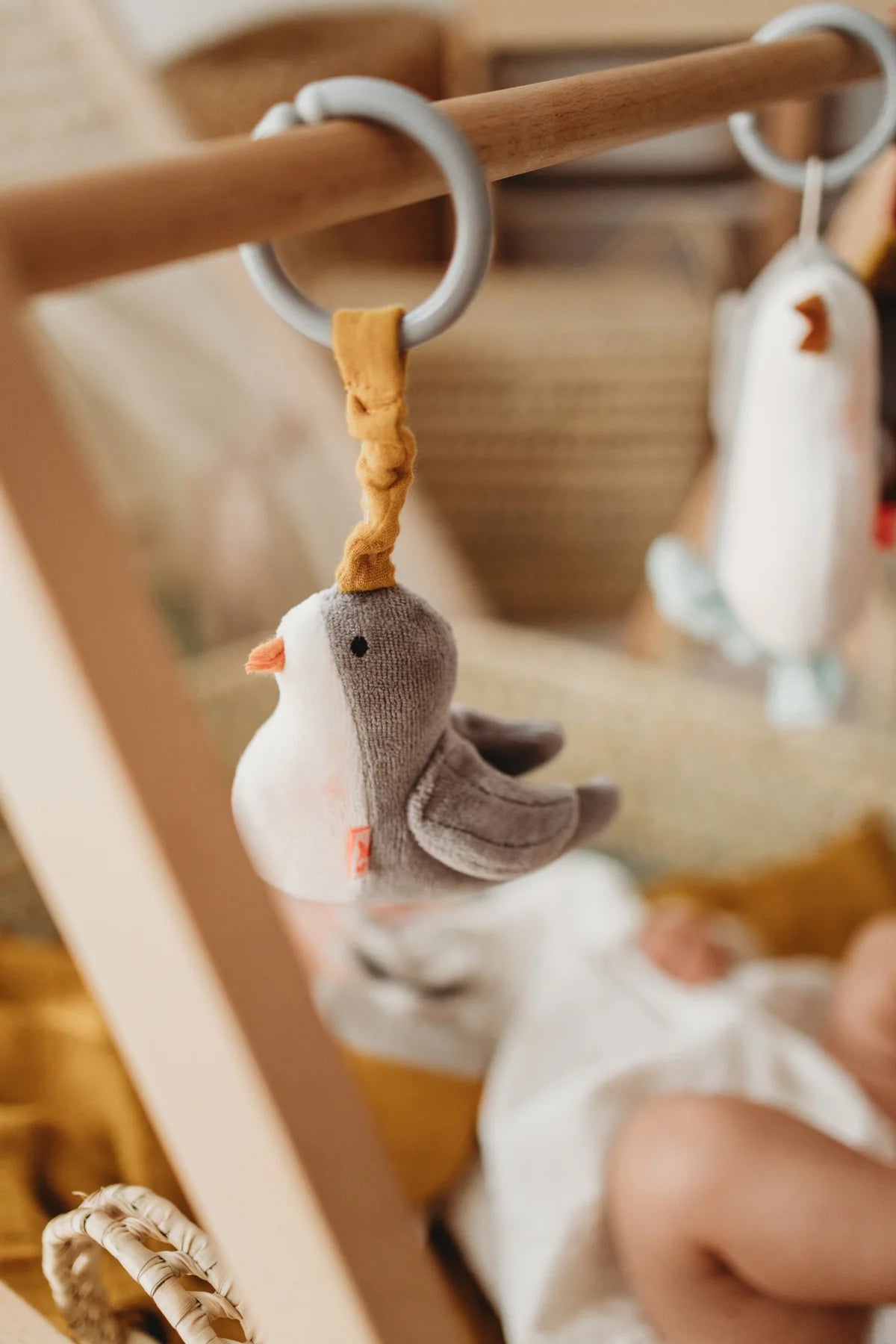 Mounting ring bird