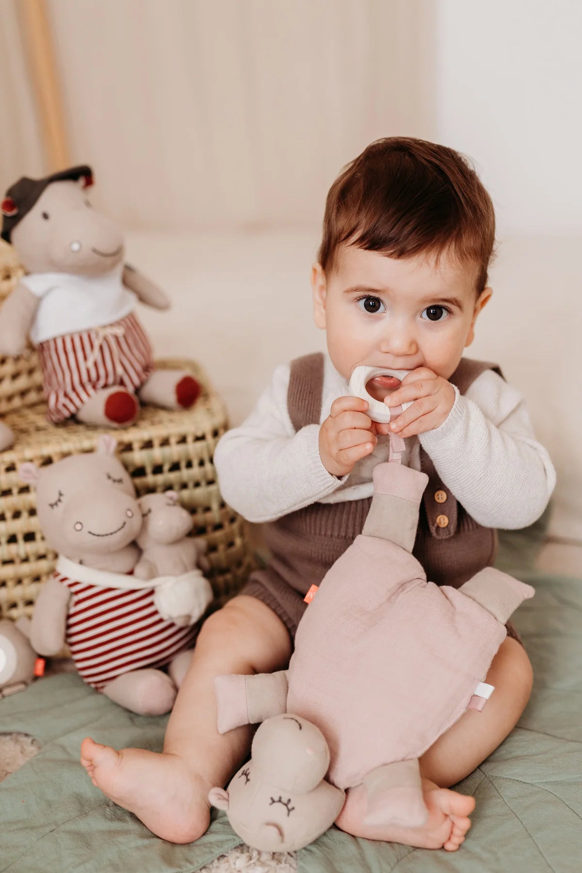 Hippo activity toy