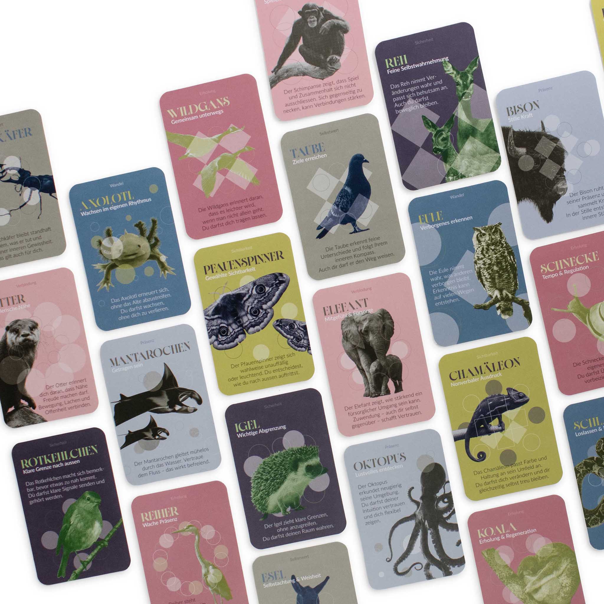 Cartes de pouvoir animal