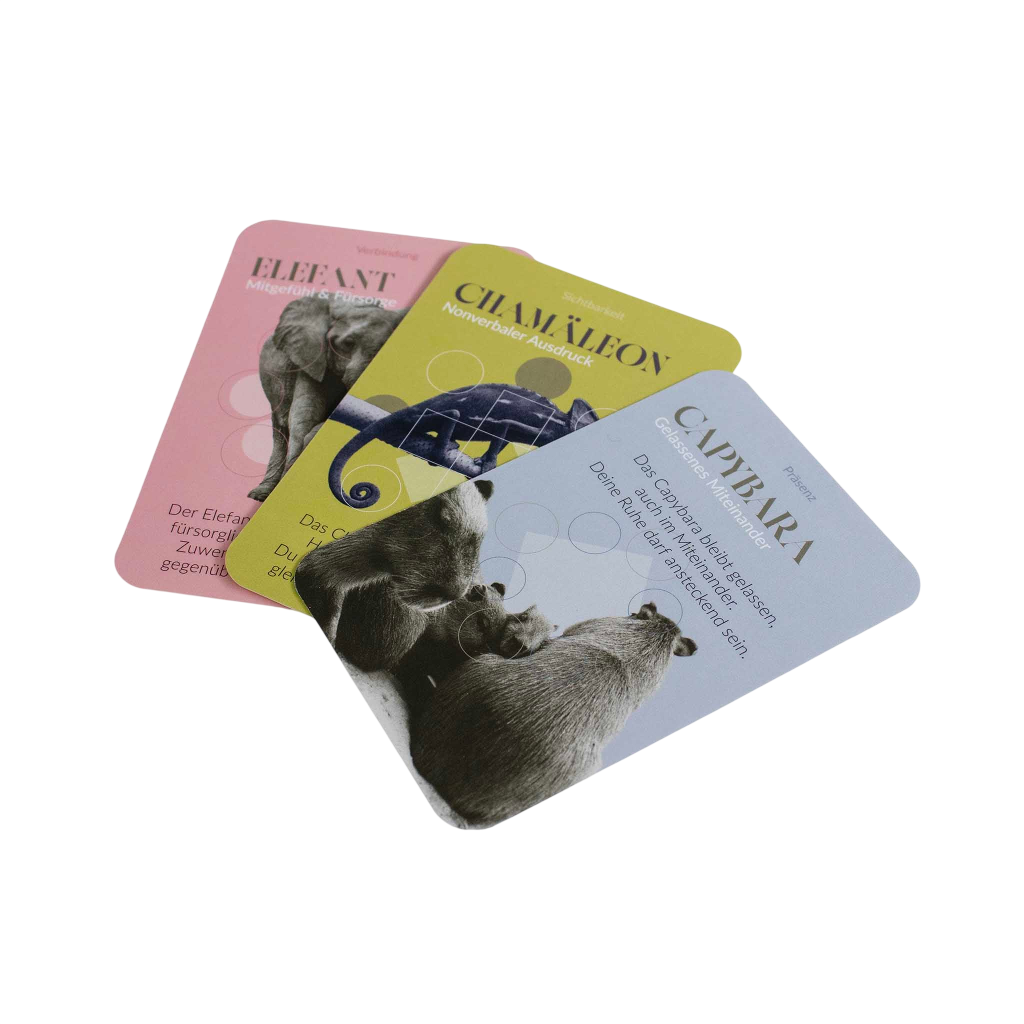 Cartes de pouvoir animal