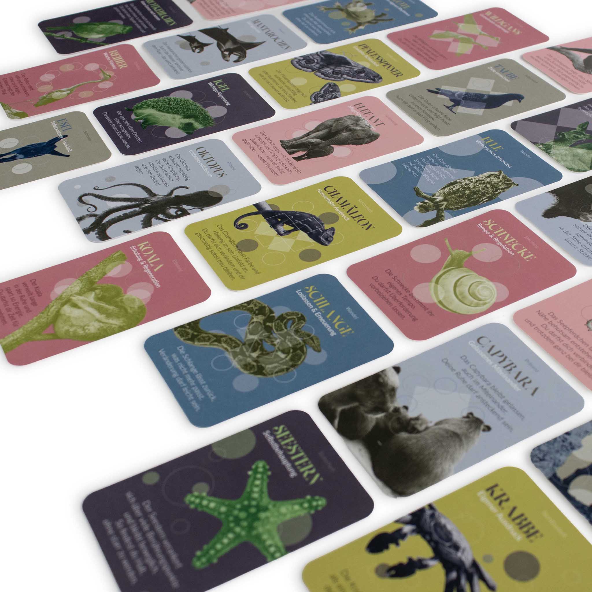 Cartes de pouvoir animal
