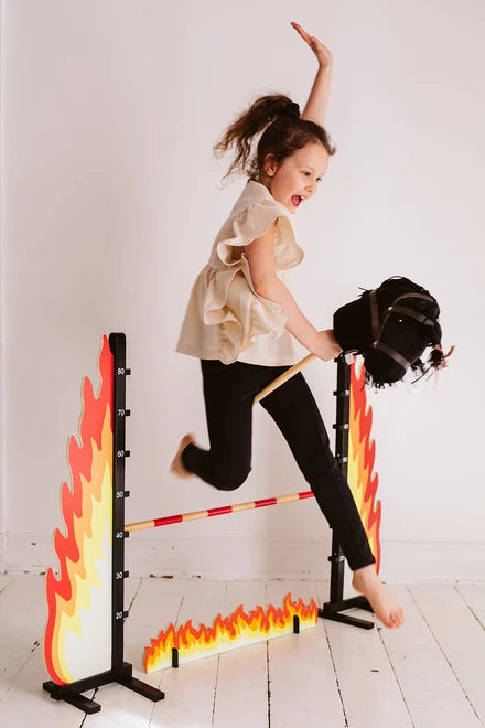 Black hobbyhorse