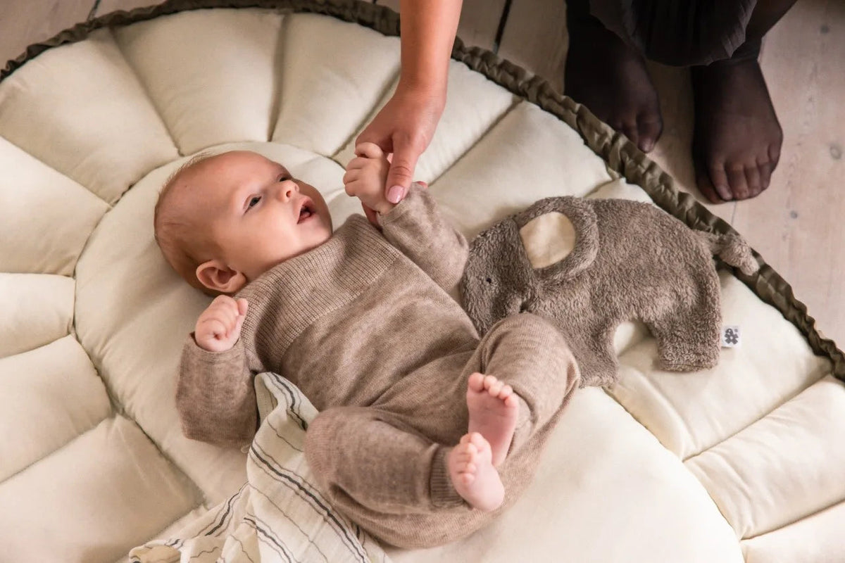 Nid pour bébé 3 en 1 Dark Olive