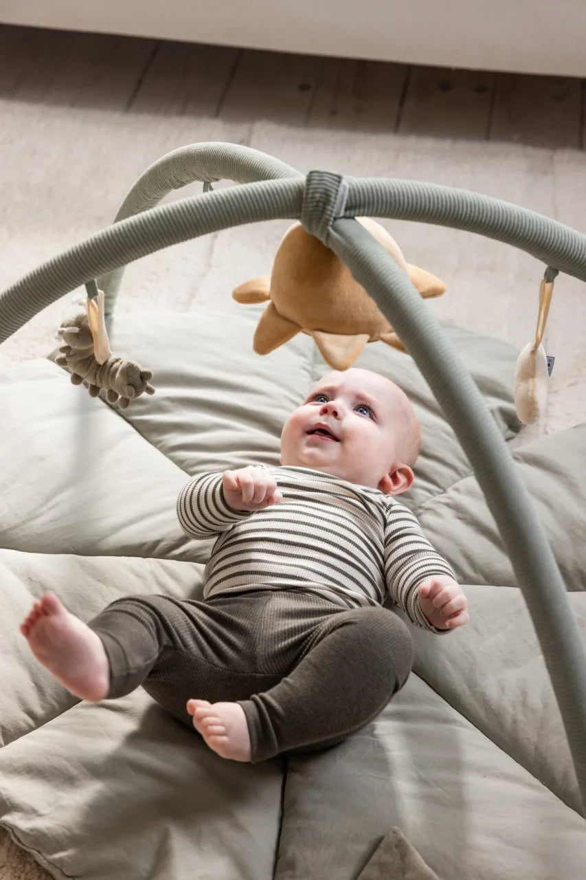 Play arch, Baby Gym Woodland