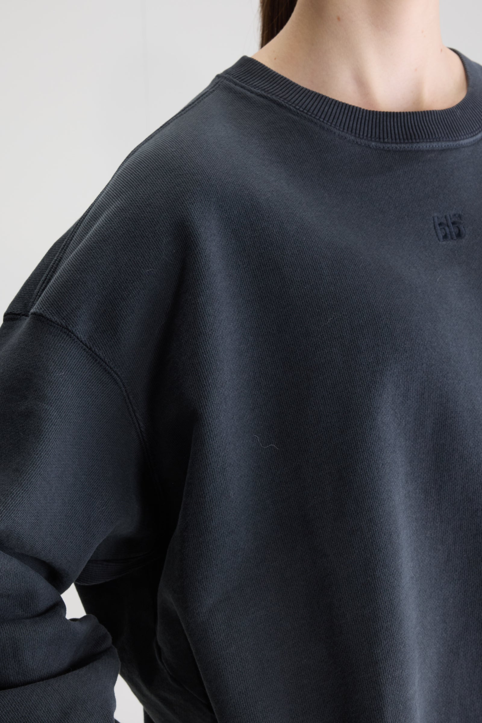 Adult Sweatshirt Frig Black Beauty