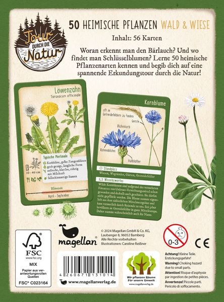 Tour durch die Natur – 50 heimische Pflanzen: Bestimmungskarten für Wald & Wiese