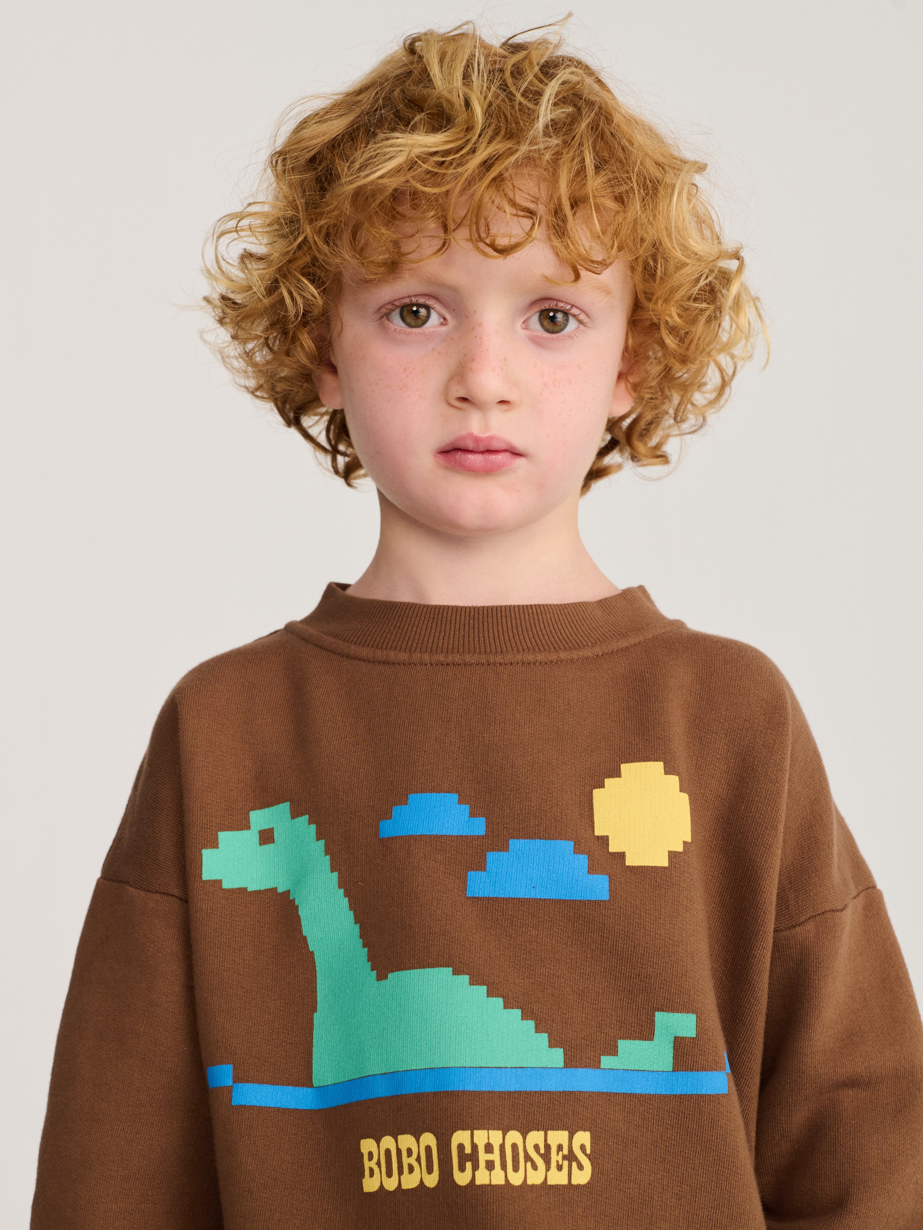 Lake Monster Dark Brown Sweatshirt
